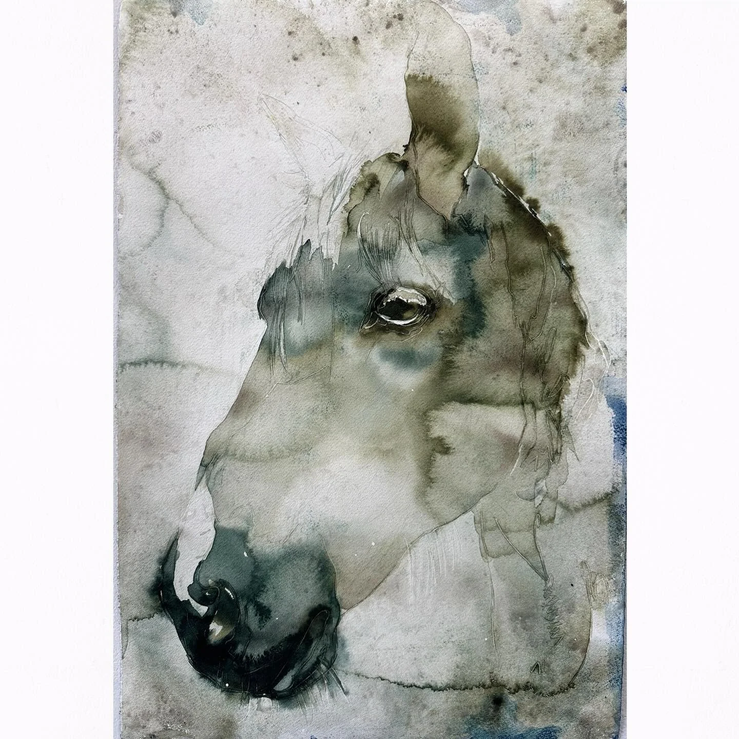 Spending some time working on smaller paintings of horses in preparation for painting larger works. 

I have been wanting to return to the theme of the horse to explore more issues about environment, sustainability, environment, fortitude, and ecolog
