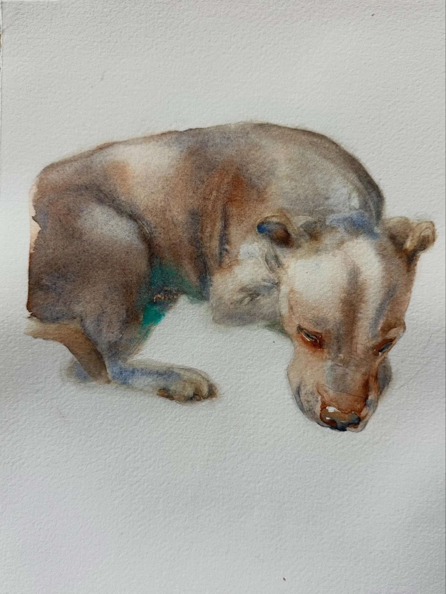 Commission finished✨
.
.
Watercolor
10 x 8&rdquo;
2026
.
.
.
#danielsmithwatercolors #holbeinwatercolors #oldhollandwatercolors #blickartmaterials #archeswatercolorpaper