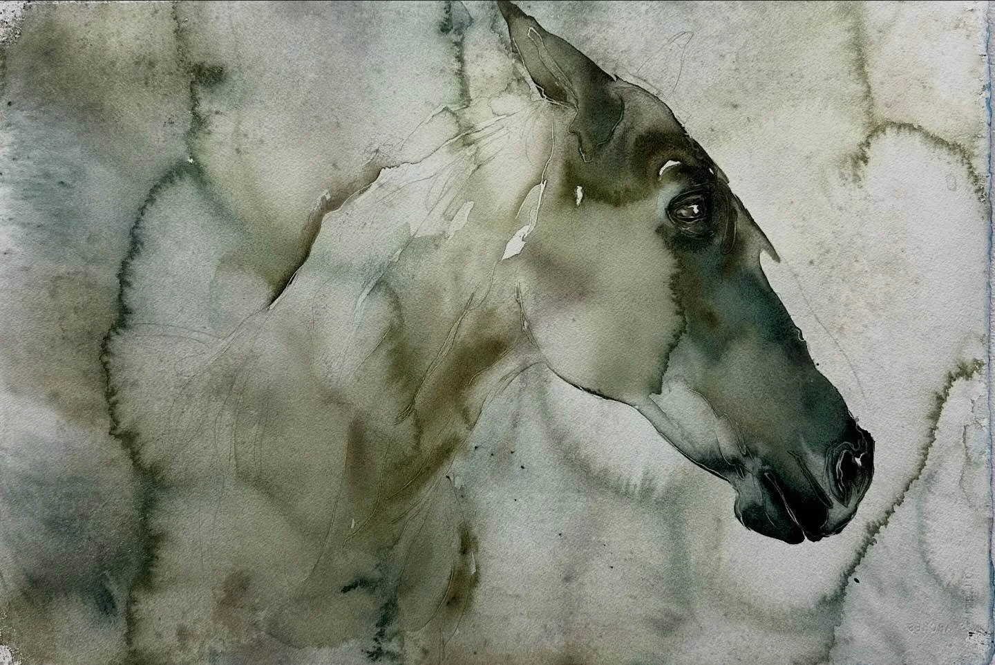 I really wanted to capture that quiet strength and sensitivity horses carry&mdash;the kind you feel more than you see. I allowed the the edges to  soften, the color to flow, and the expression to come through in a more natural, almost instinctive way