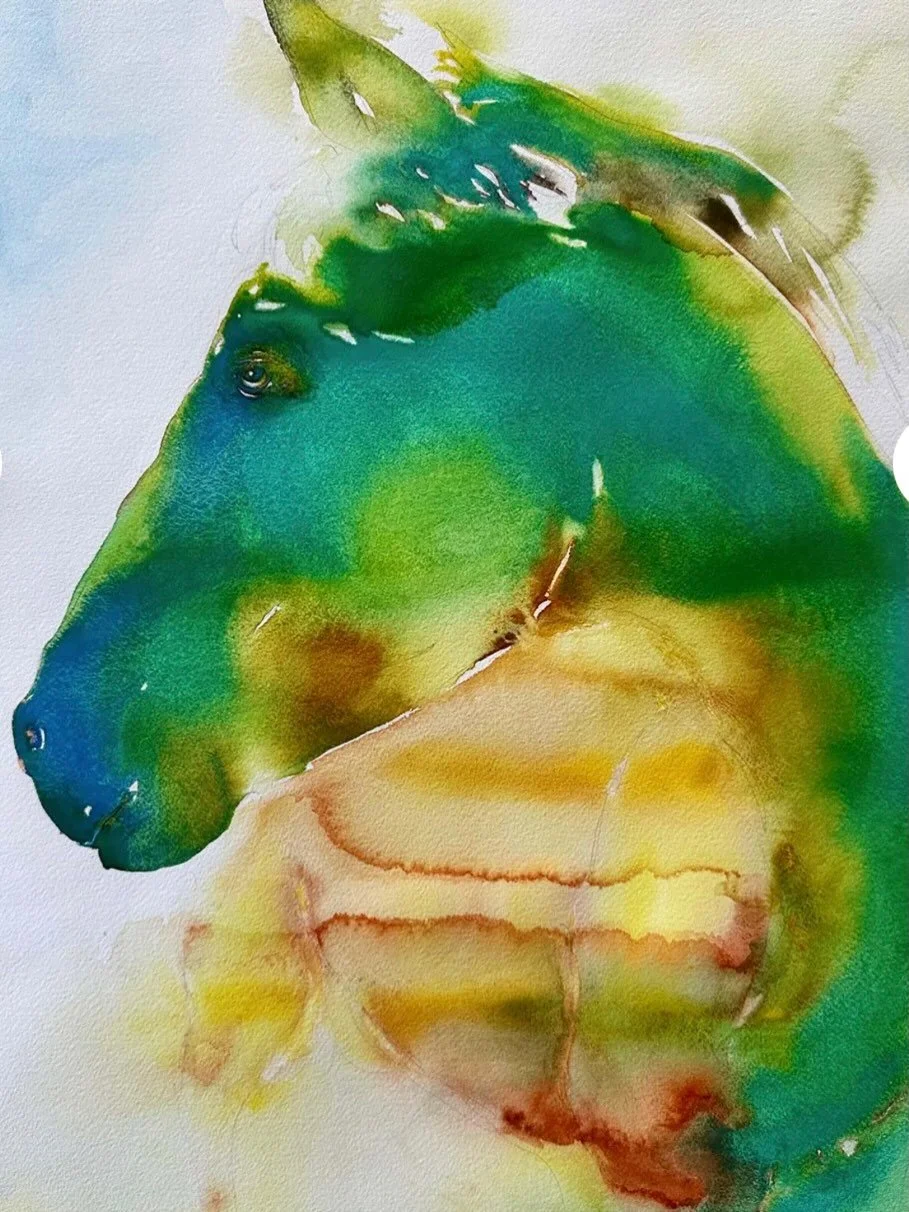 Emerald Green
Watercolor
15 x 11&rdquo;
2024
.
.
.
Sold today&hellip;
Always good to hear when they find their final homes.
🔷
.

.#horse#horsewatercolor#equine#danielsmithwatercolor#archespaper