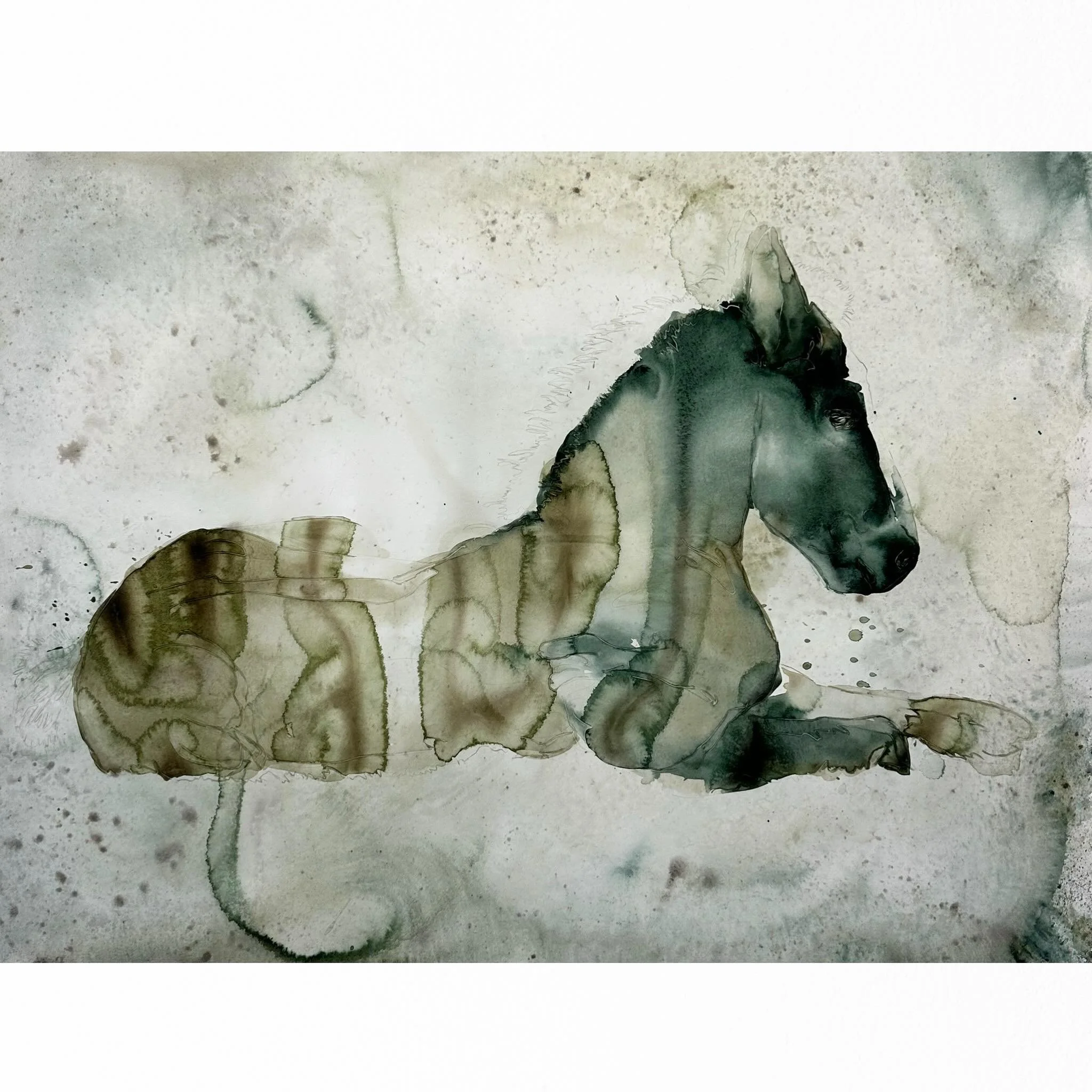I began this painting as part of an ongoing series exploring horses in archetypal and ancient settings.

I have long been fascinated by the idea of creating watercolors that feel as though they have emerged from another time.

Years ago, I visited th