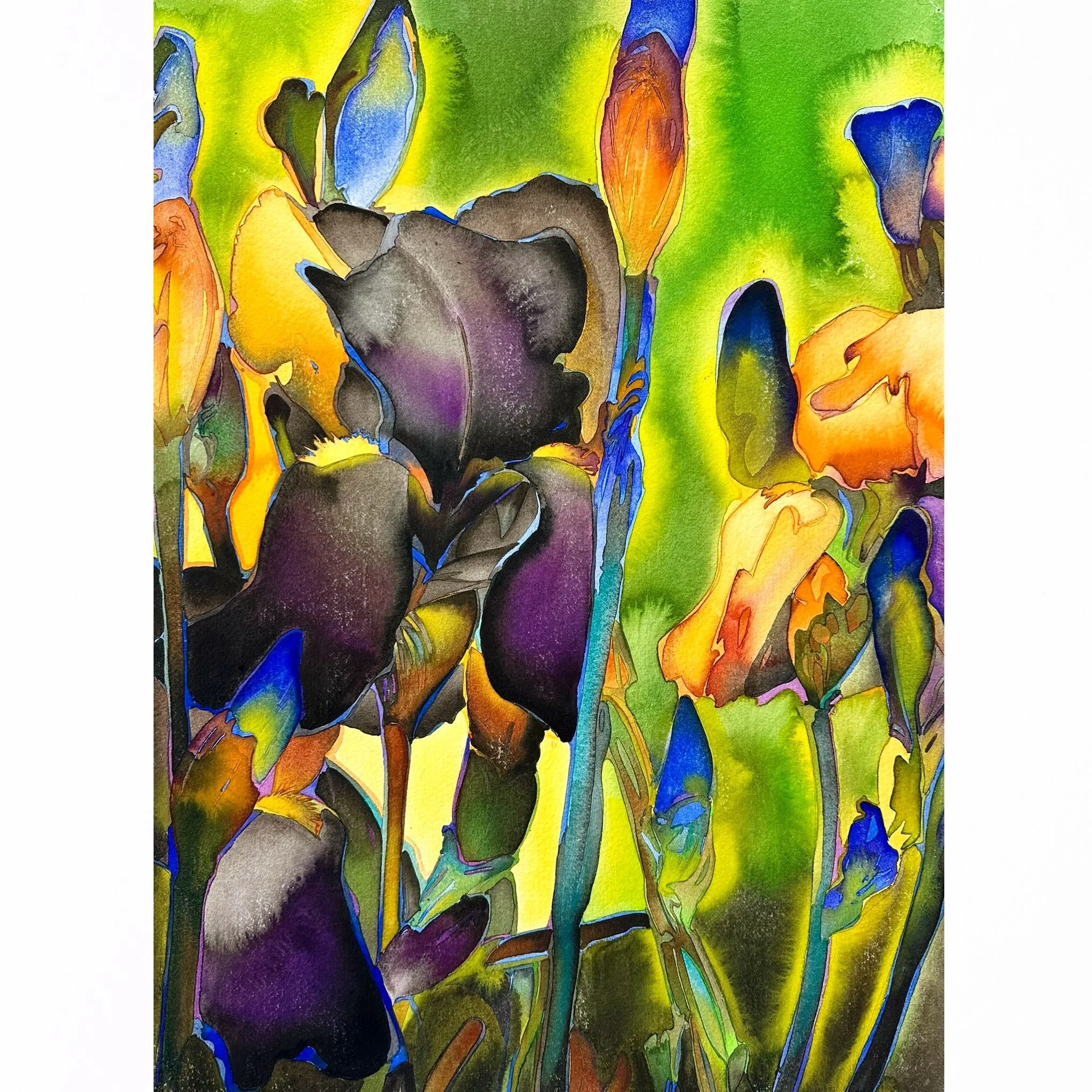 In 1997, after the passing of my dear friend Jon Prel, I painted this painting in his memory.
Jon had a larger-than-life personality and was, quite simply, the best florist in town. He loved black irises and called them &ldquo;Black Flags.&rdquo;
Tha