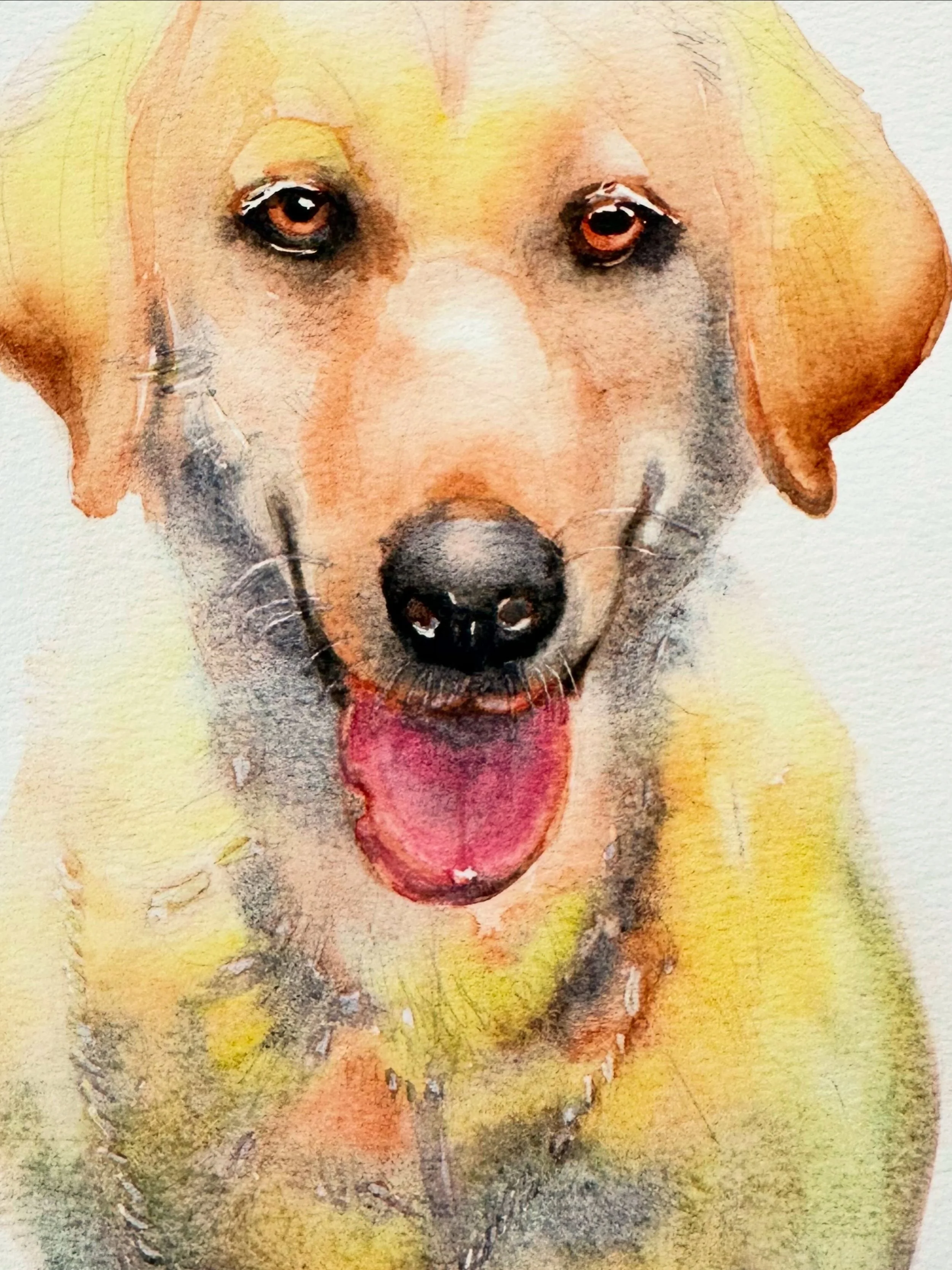 Finally Friday!🐕

Ending the week on a positive note &mdash; a small dog commission that I absolutely loved painting.

As you know, I did a series of dog portraits not too long ago. It was so much fun learning how to capture the magic of different b