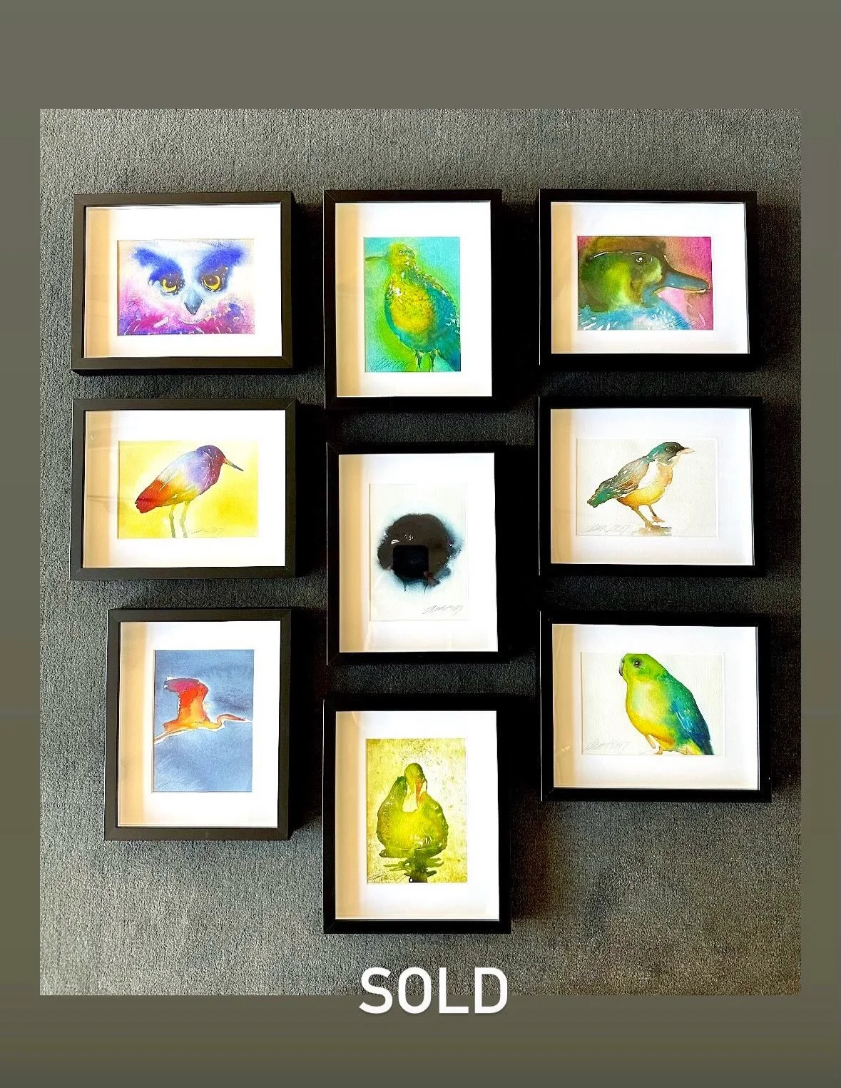 Happy that they are home!🦜