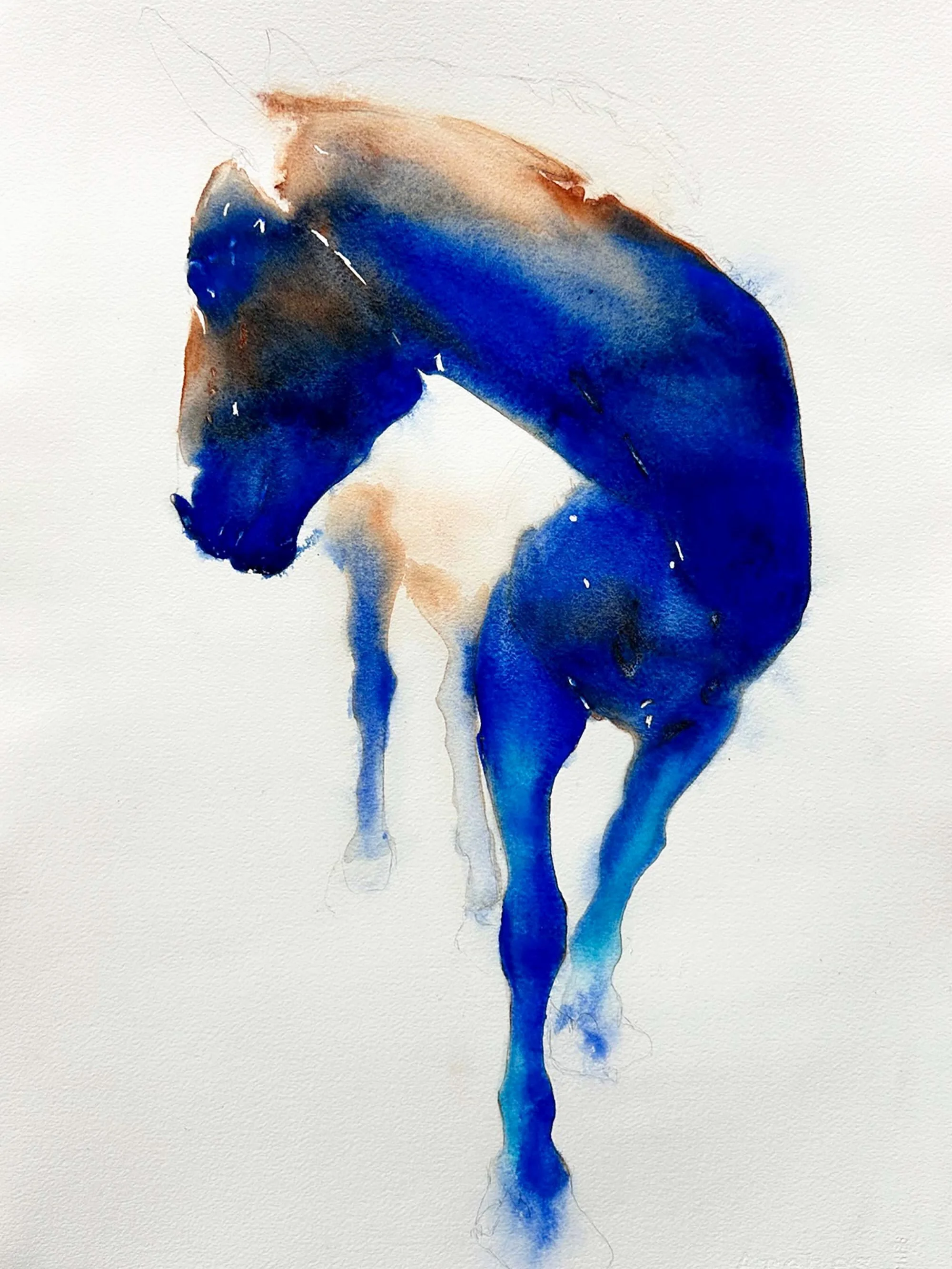 I&rsquo;m delighted to share that my painting REACH received an Honorable Mention in Contemporary Visions of the West at the Daum Museum.

The exhibition runs August 12 &ndash; December 20, 2026, and is sponsored by Douglas and Connie Kurz in partner