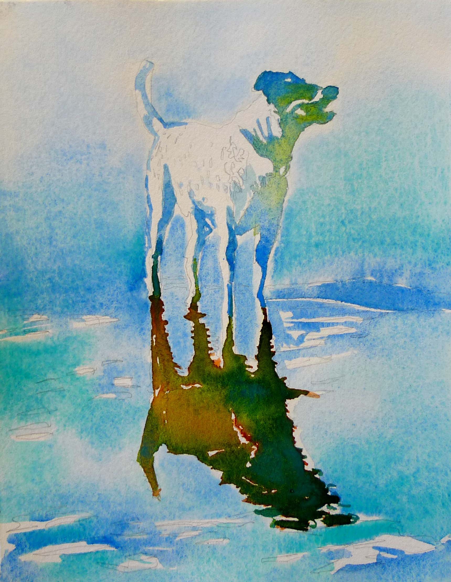 dogreflection.jpg