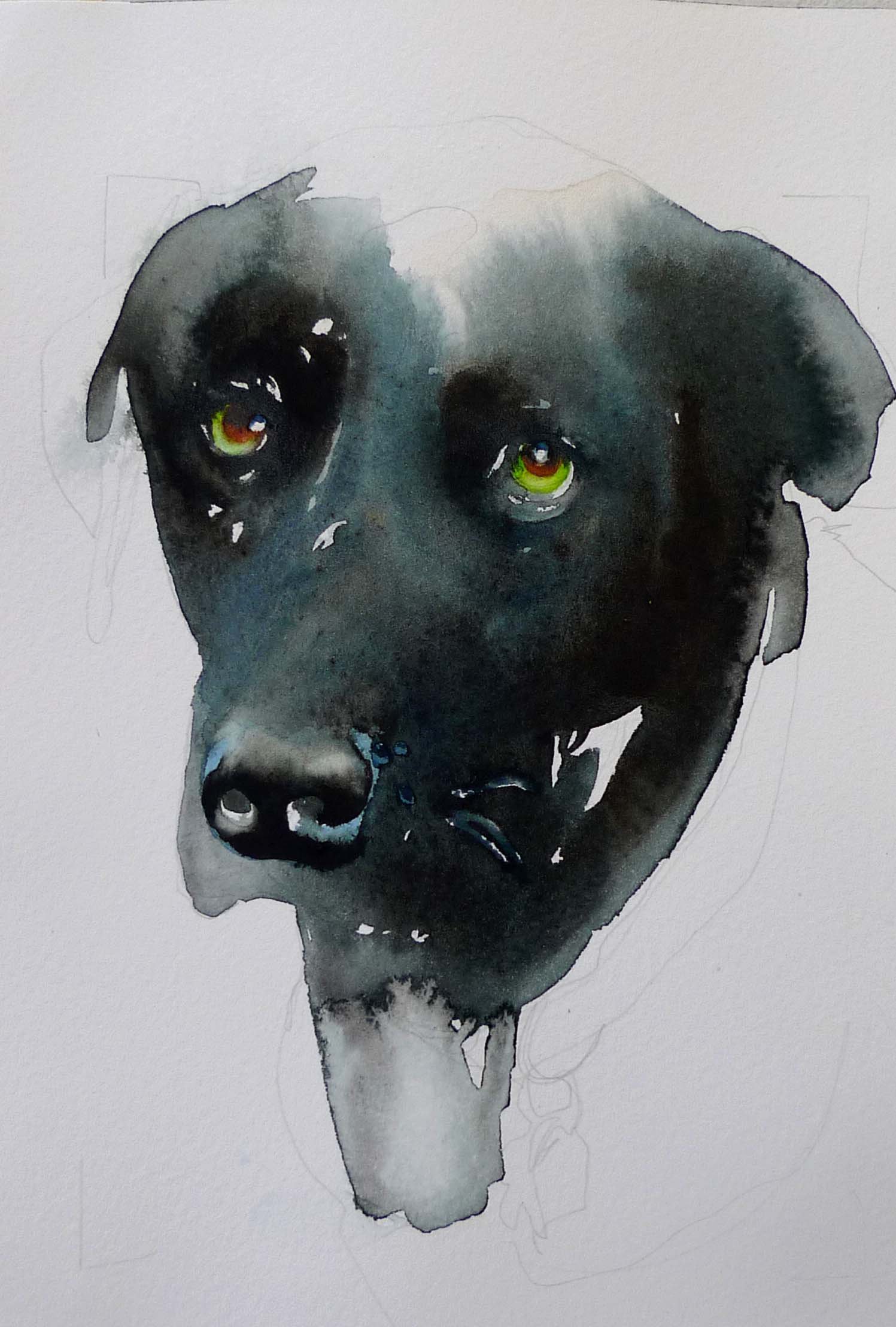 sadblackdog.jpg