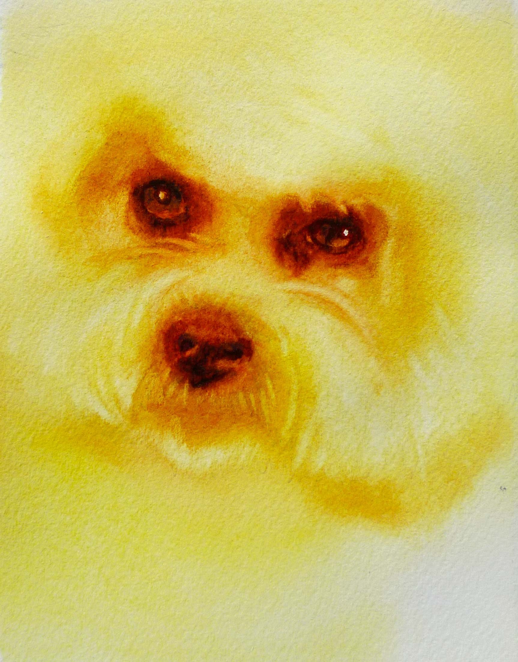 hansendog.jpg