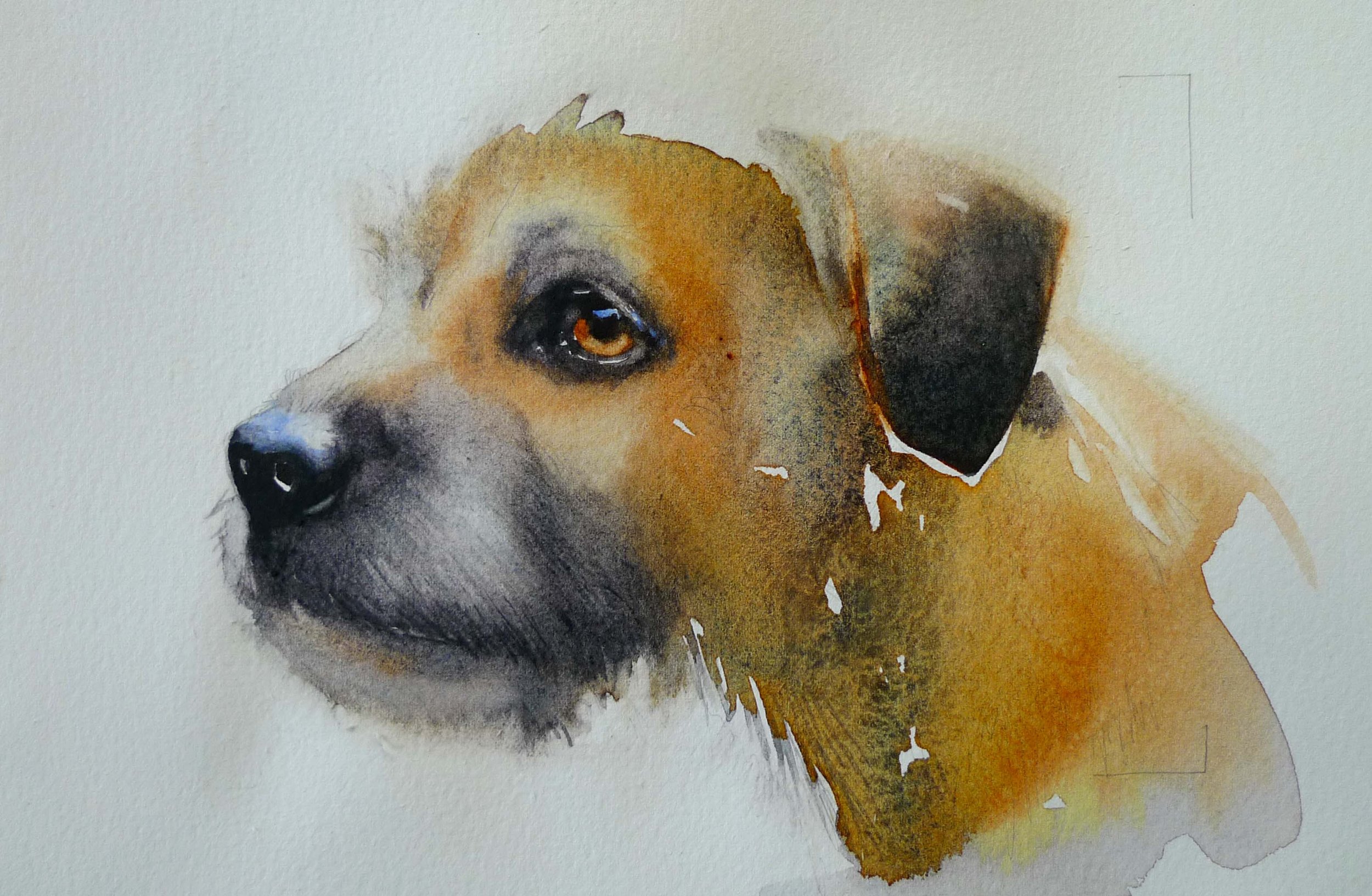 catherinebarnett dog.jpg