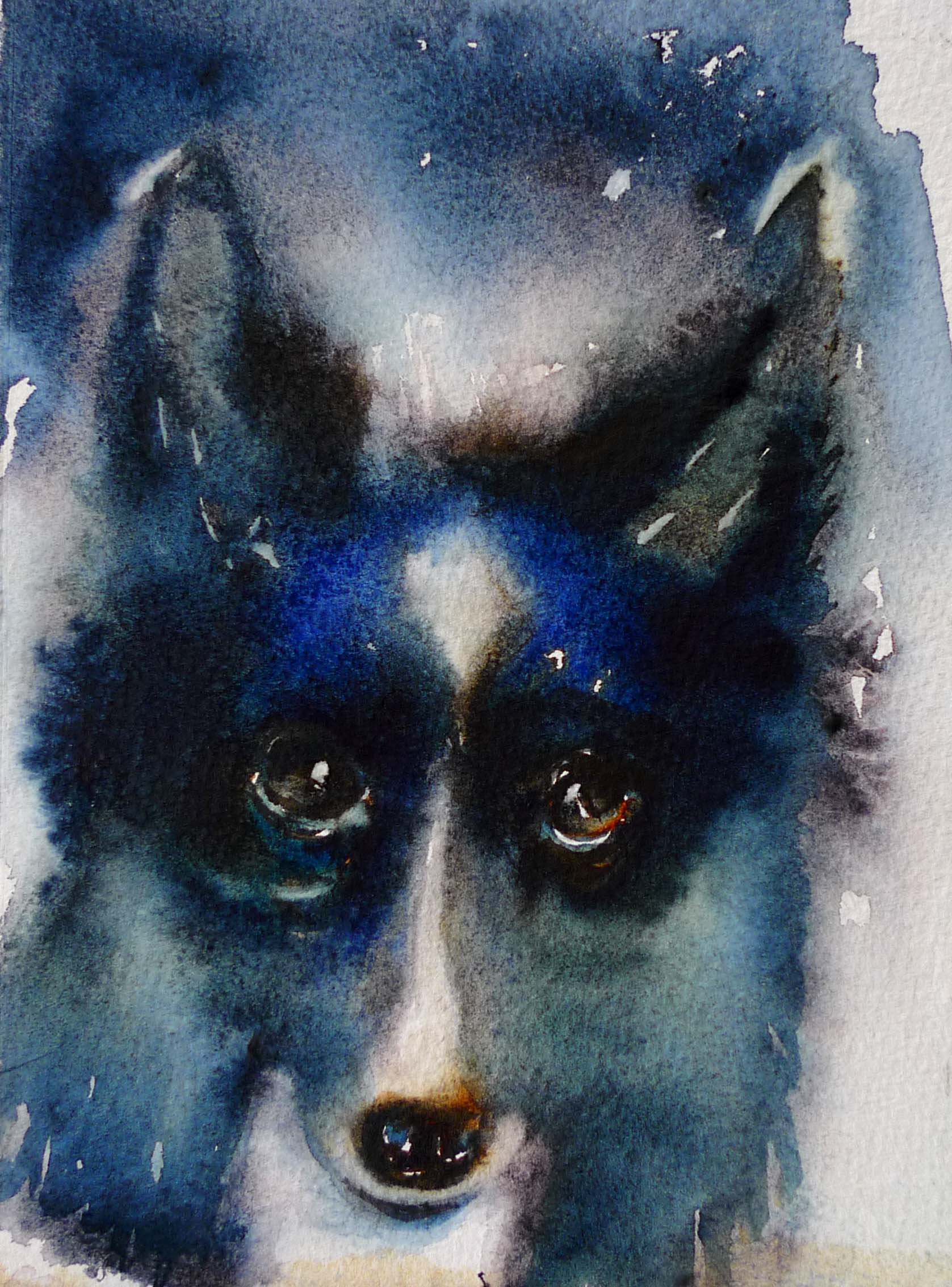 bluedog copy.jpg