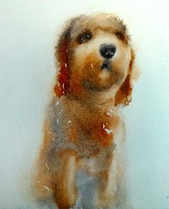 browndog copy.jpeg