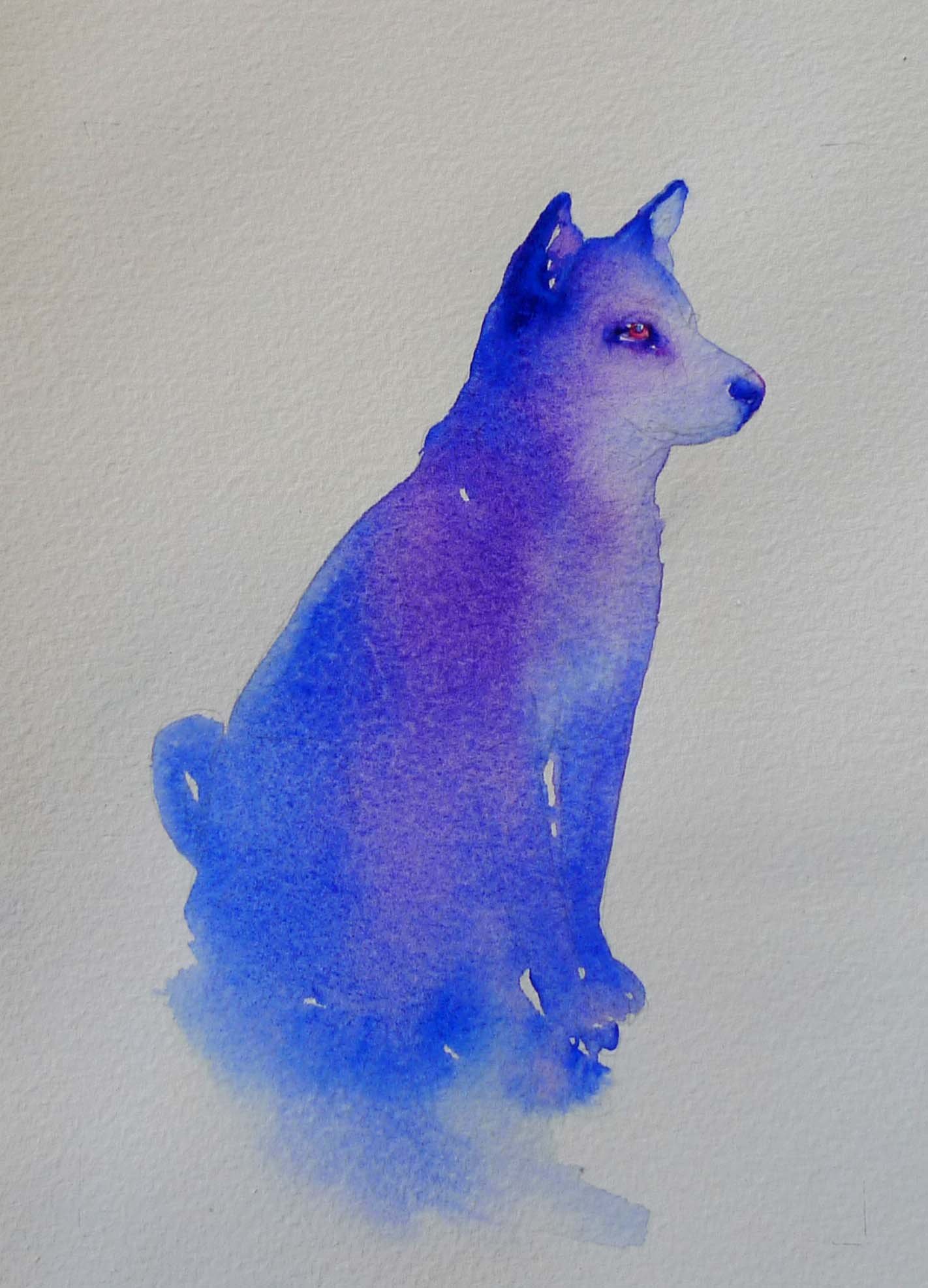 blueakita.jpg