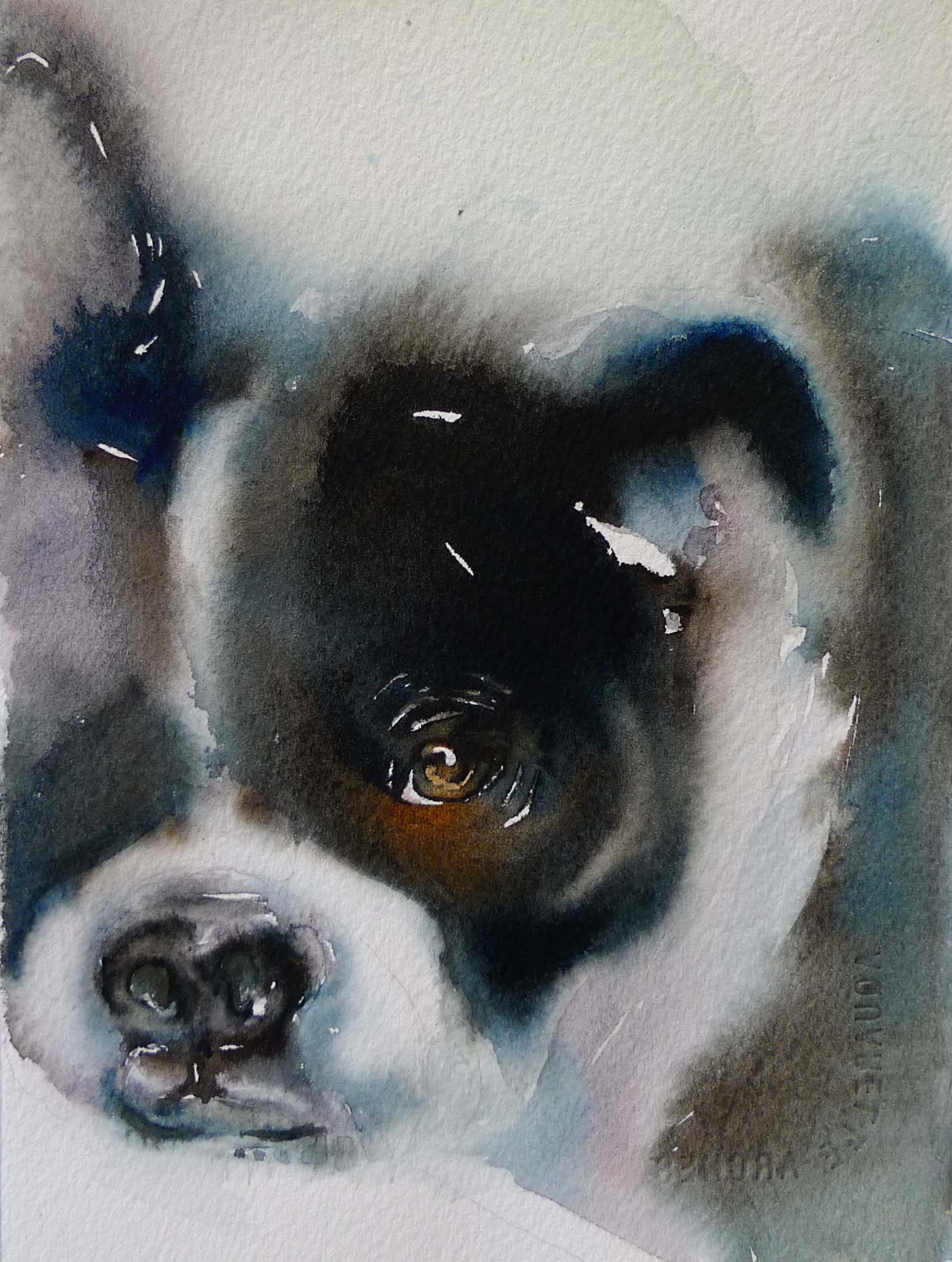 bostonterrier copy.jpg