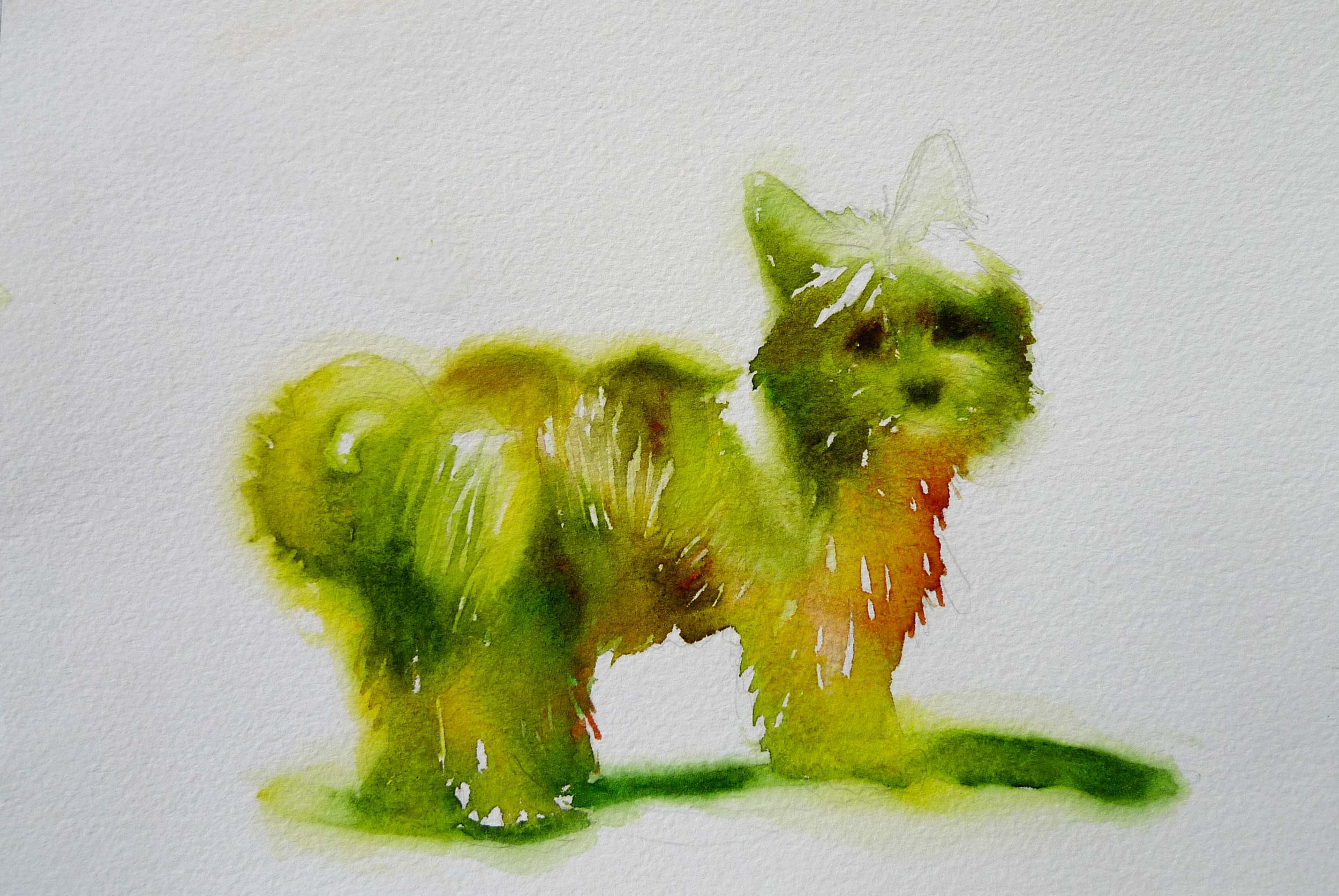 greendog copy.jpg