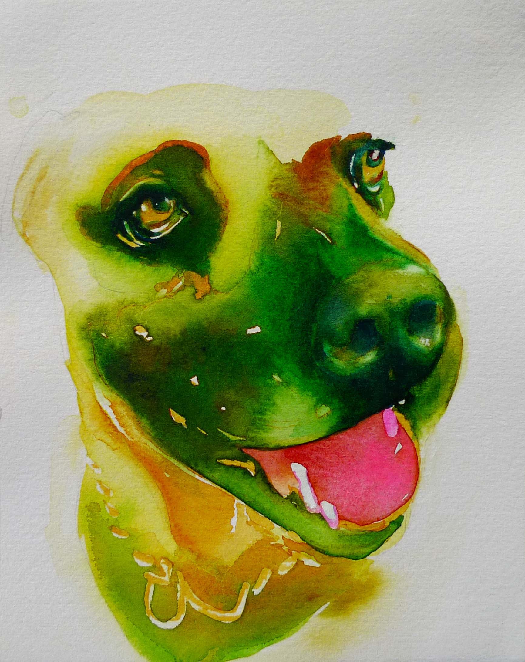 greendog.jpg