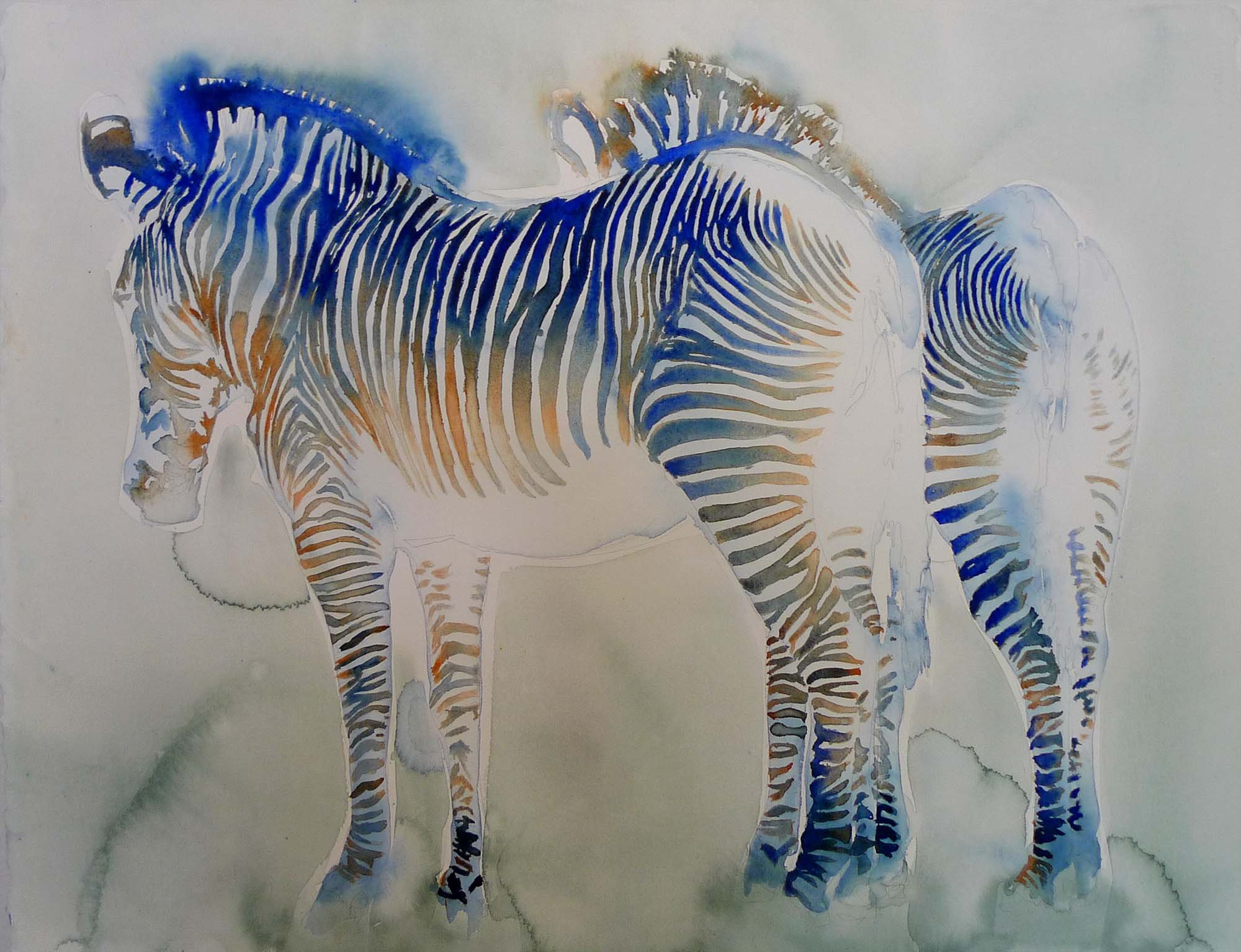 doublezebra.jpg