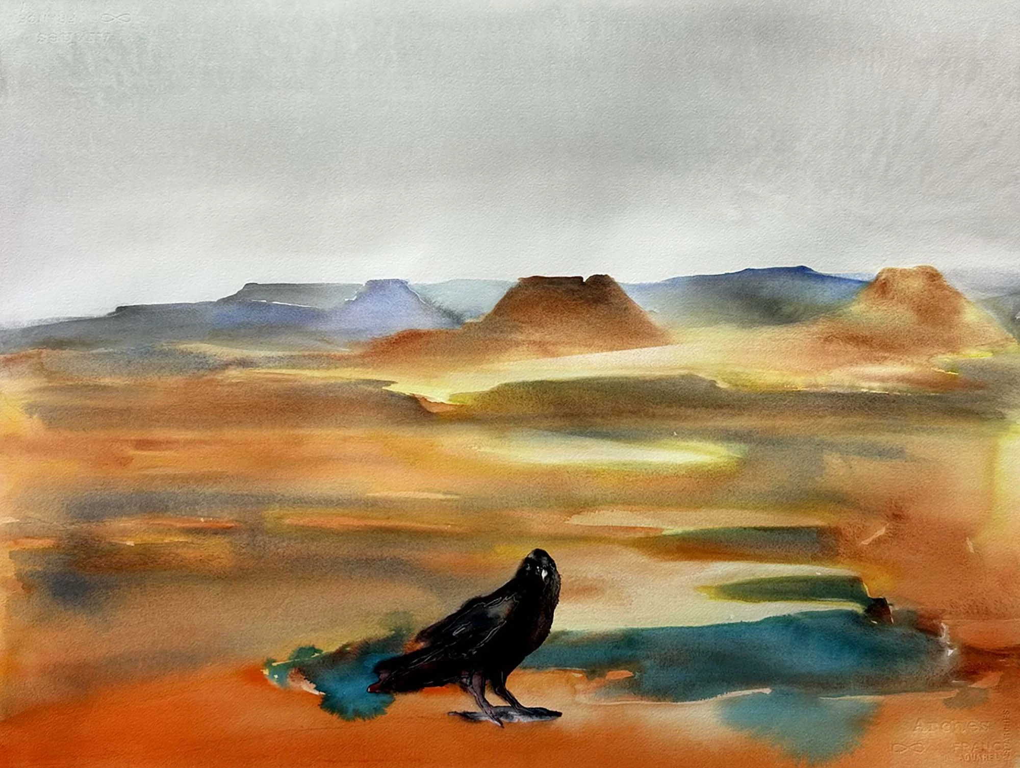 raven.jpg
