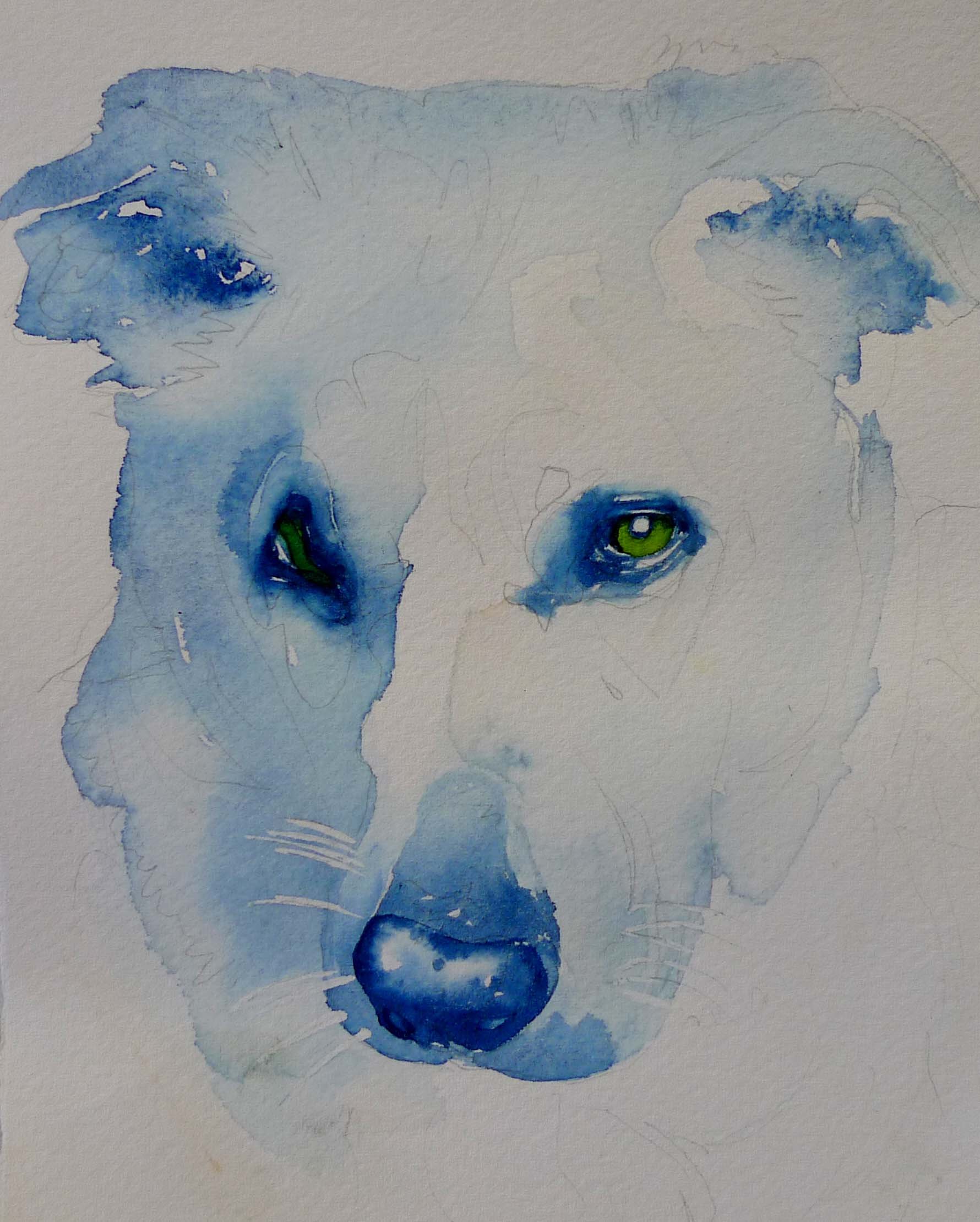 bluedogwithwhiskers.jpg