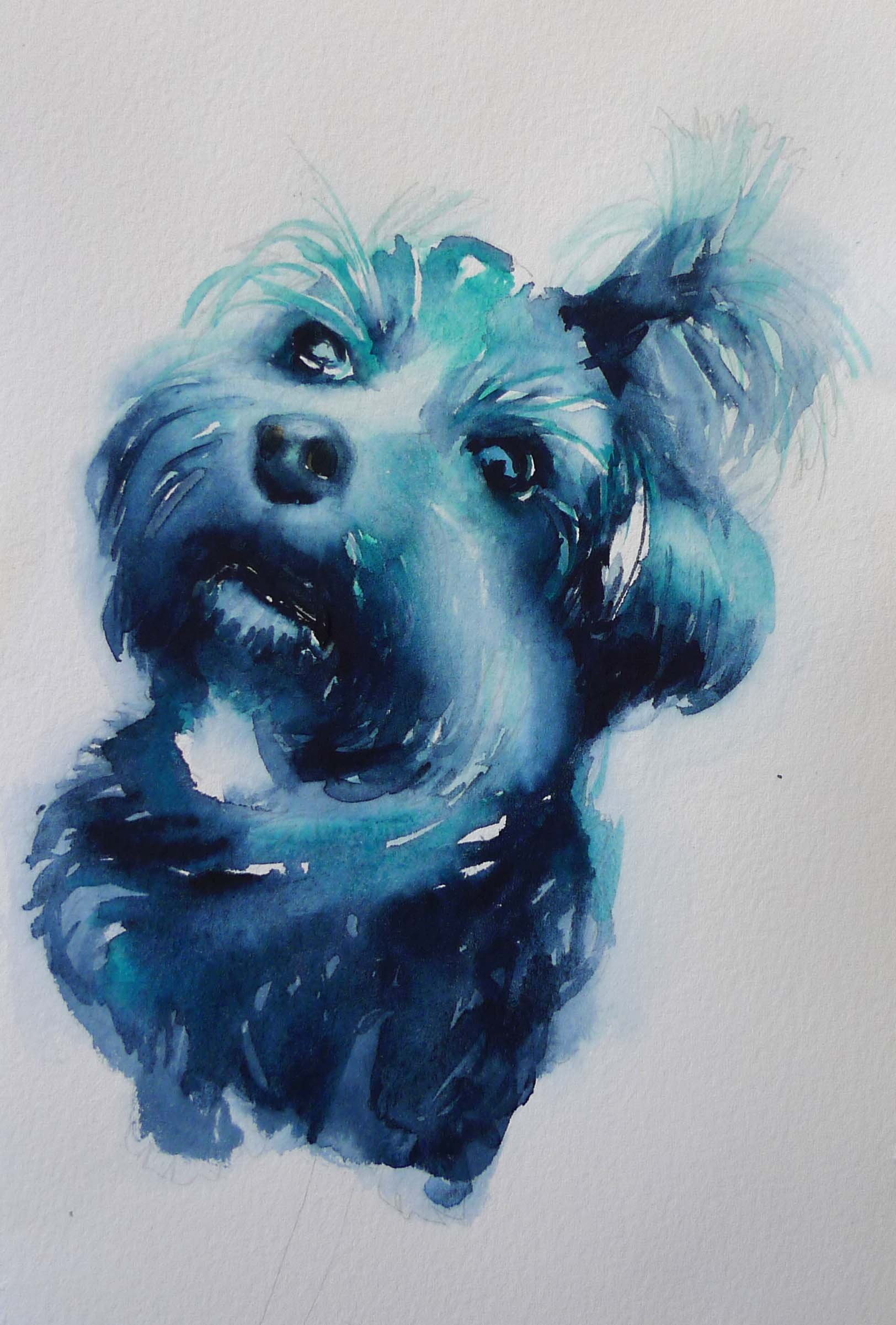 bluedog copy 3.jpg