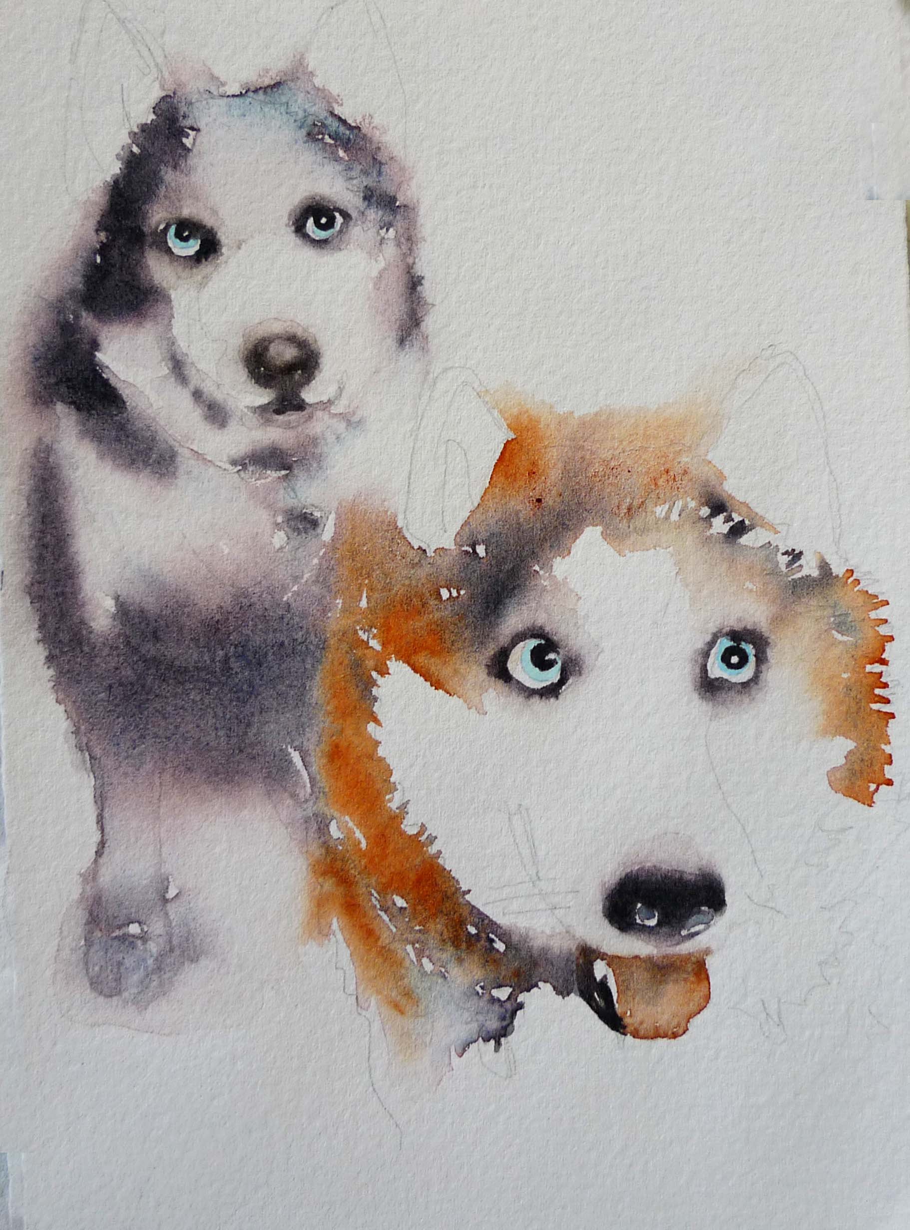 huskies.jpg