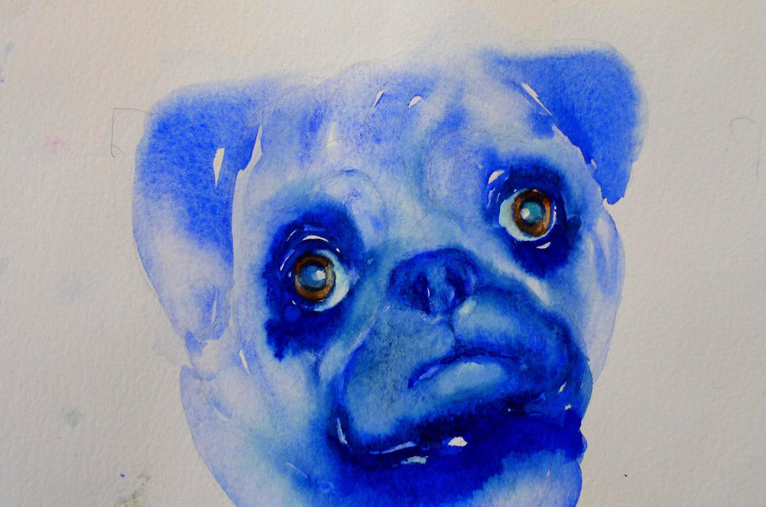 zona'spug.jpg