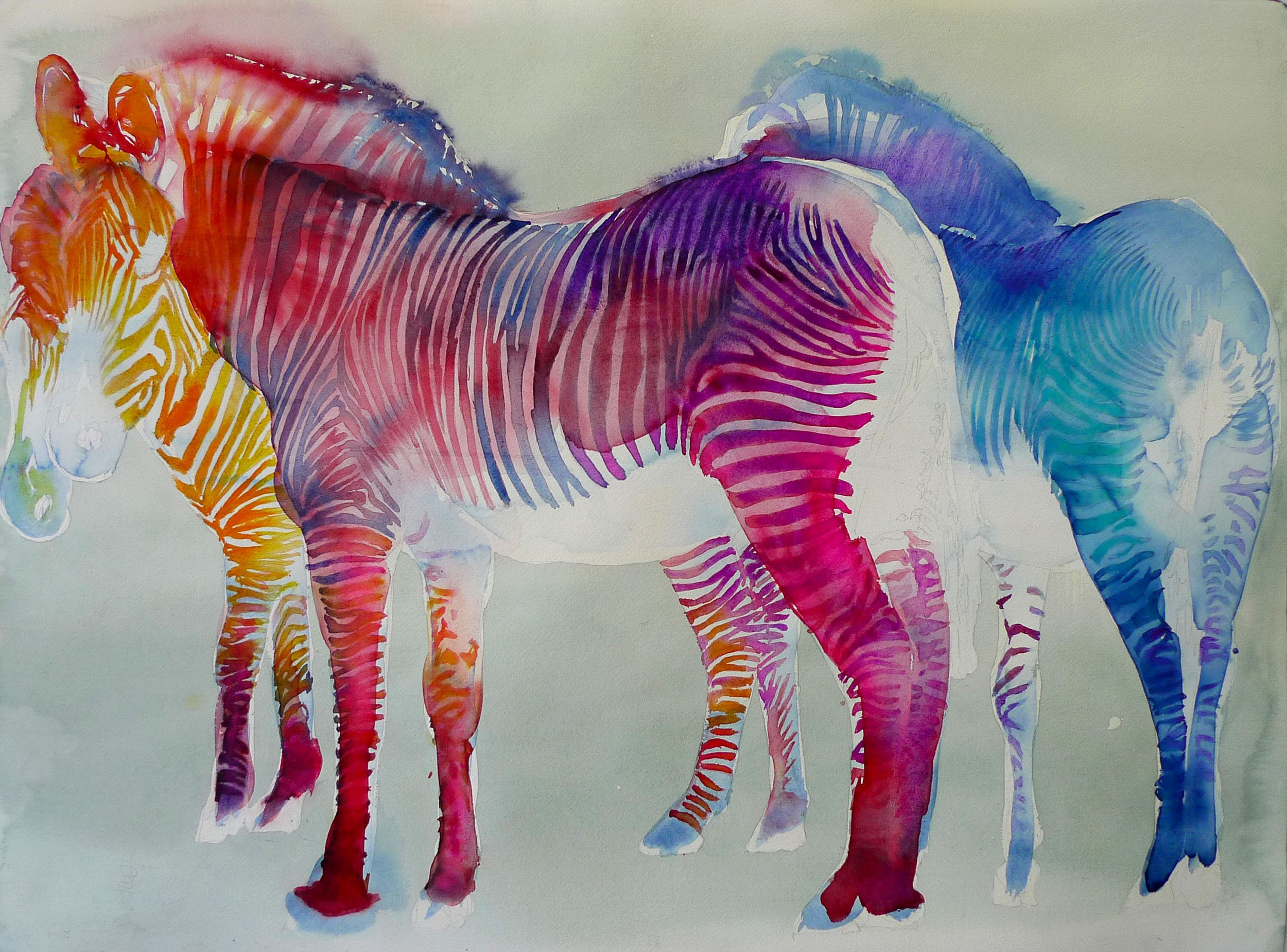 RainbowZebras300dpi.jpg