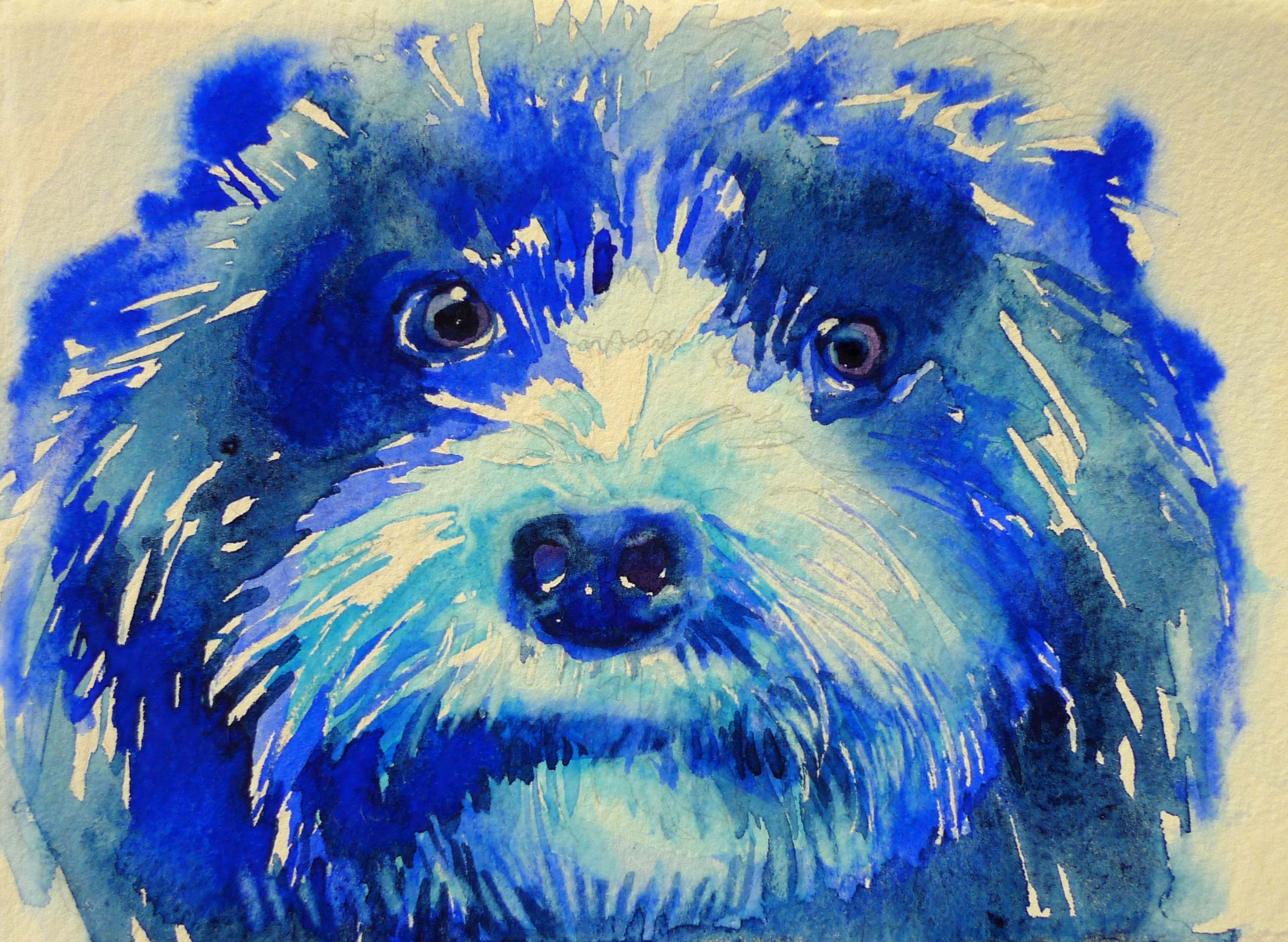 bluedog.jpg
