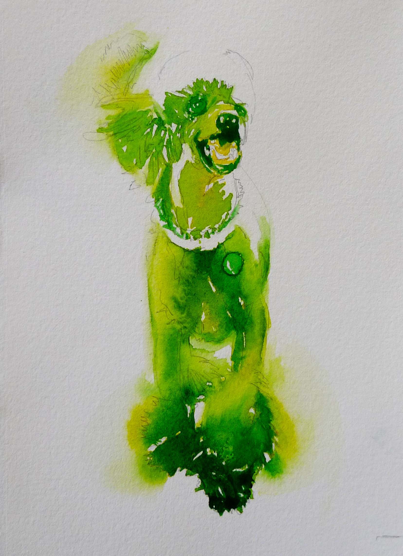 greenpoodle.jpg