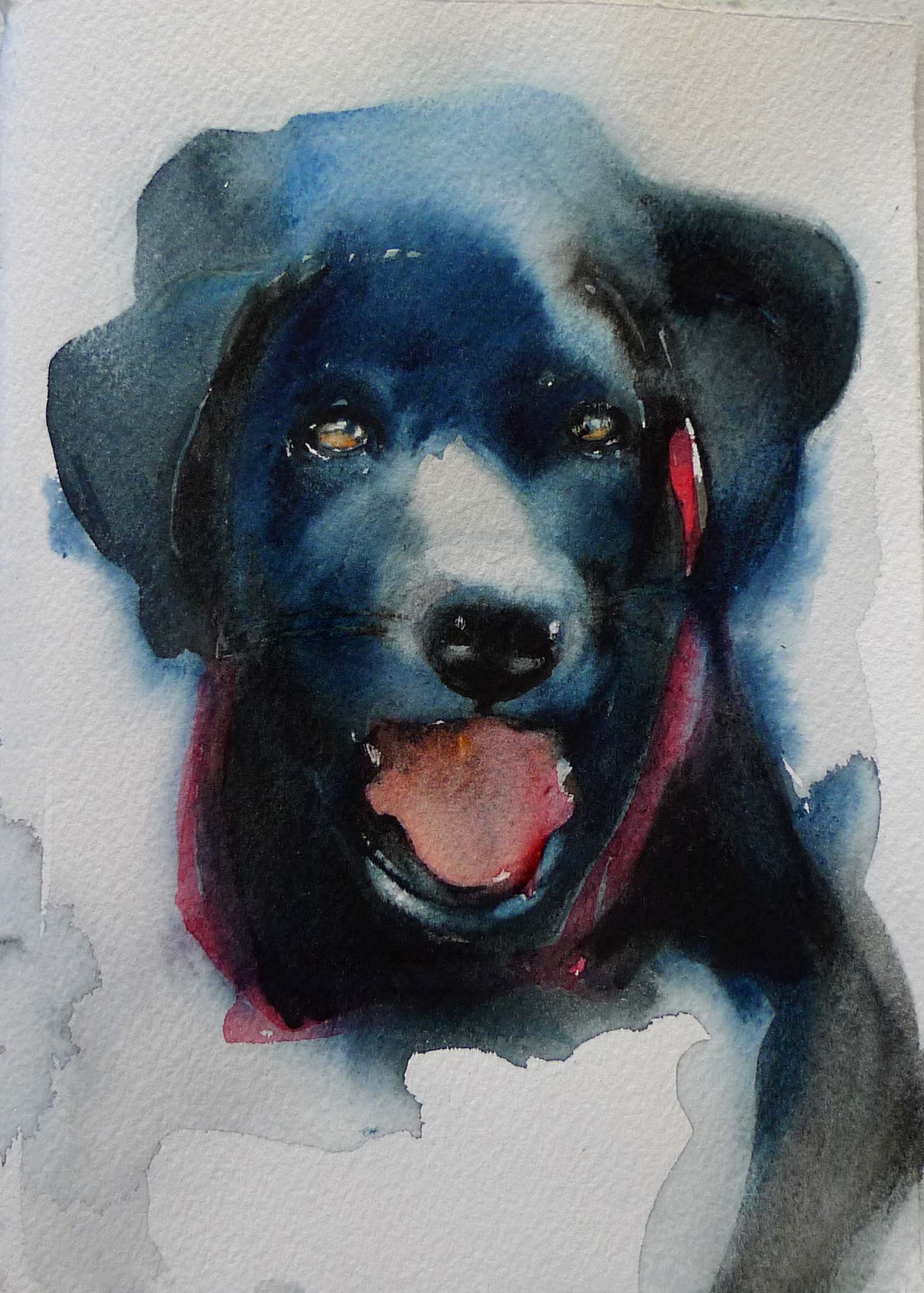 russell'sdog.jpg