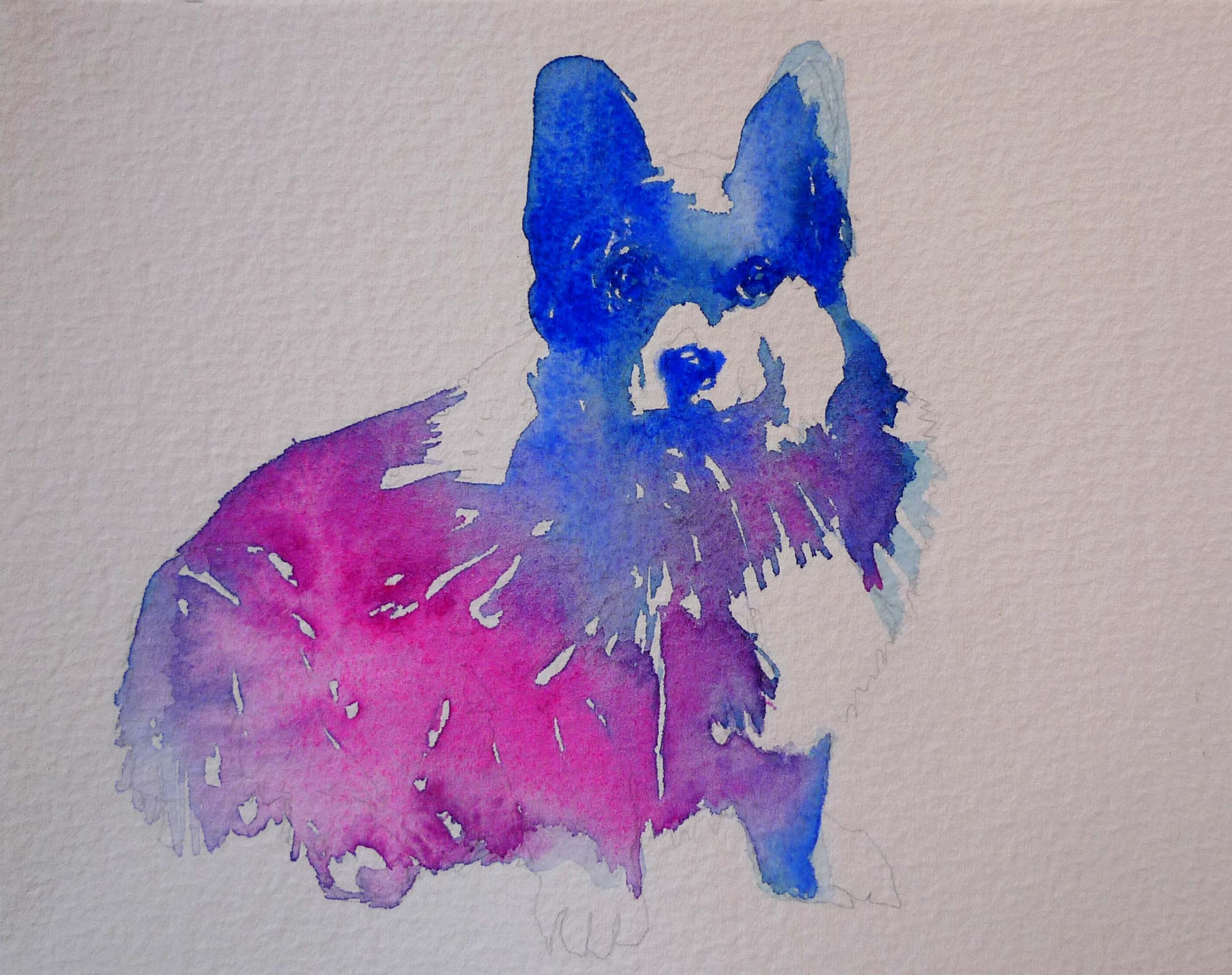 martha'scorgi.jpg