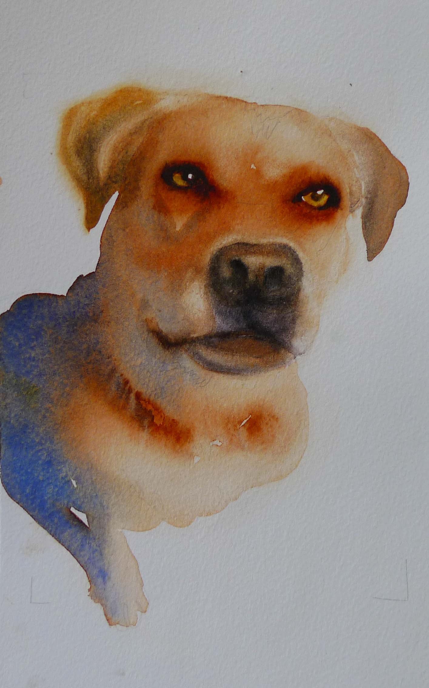 filedog.jpg