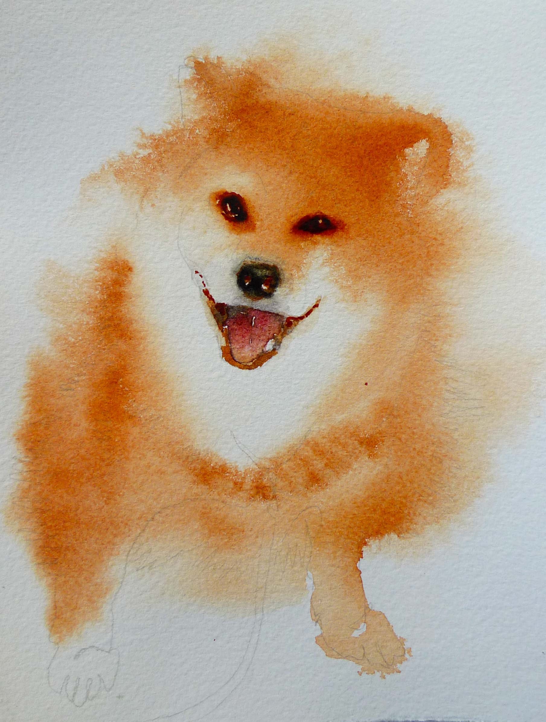 china'sdog.jpg