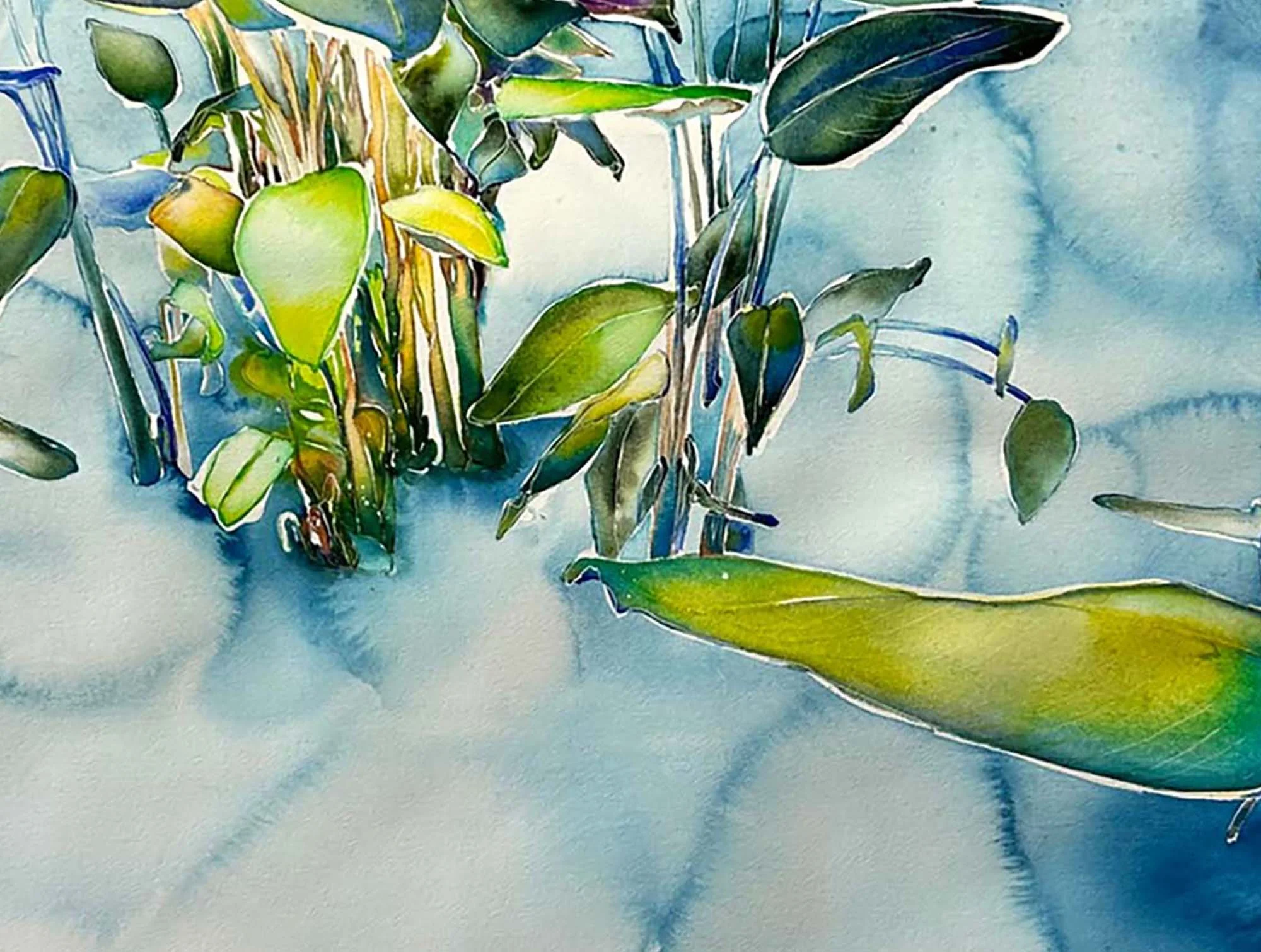 pond detail.jpg