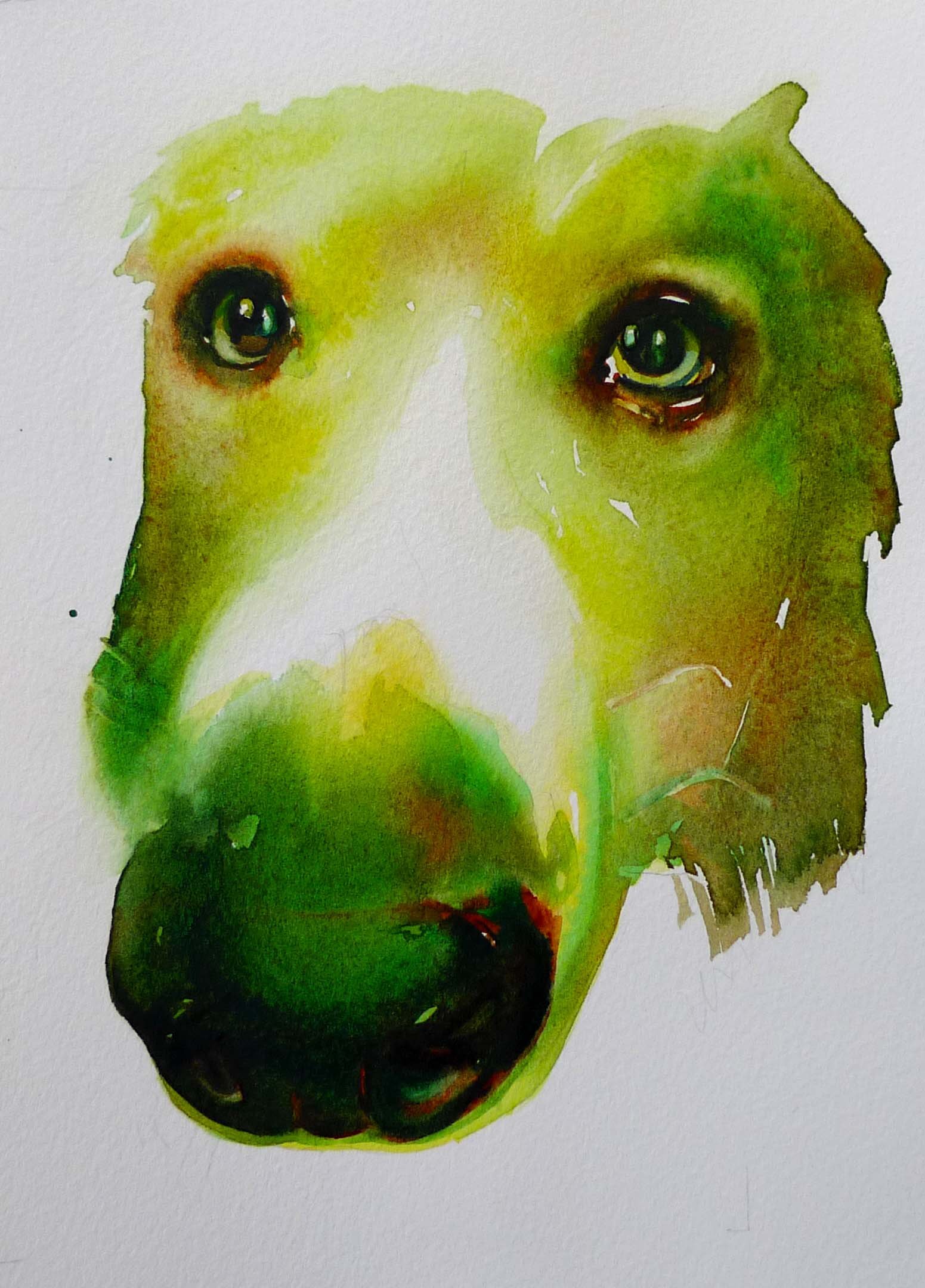 greeniedog.jpg