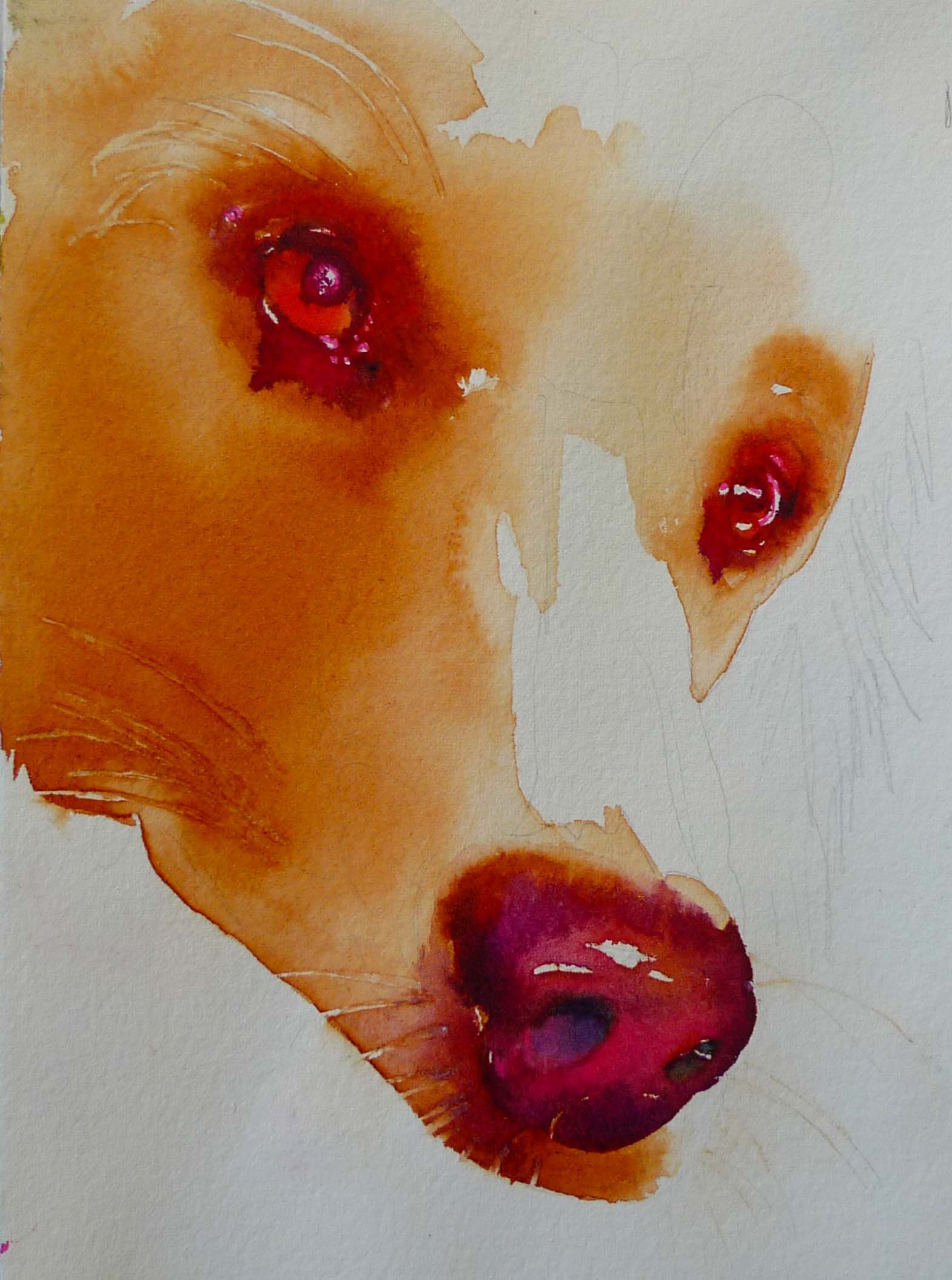 rednosedog.jpg