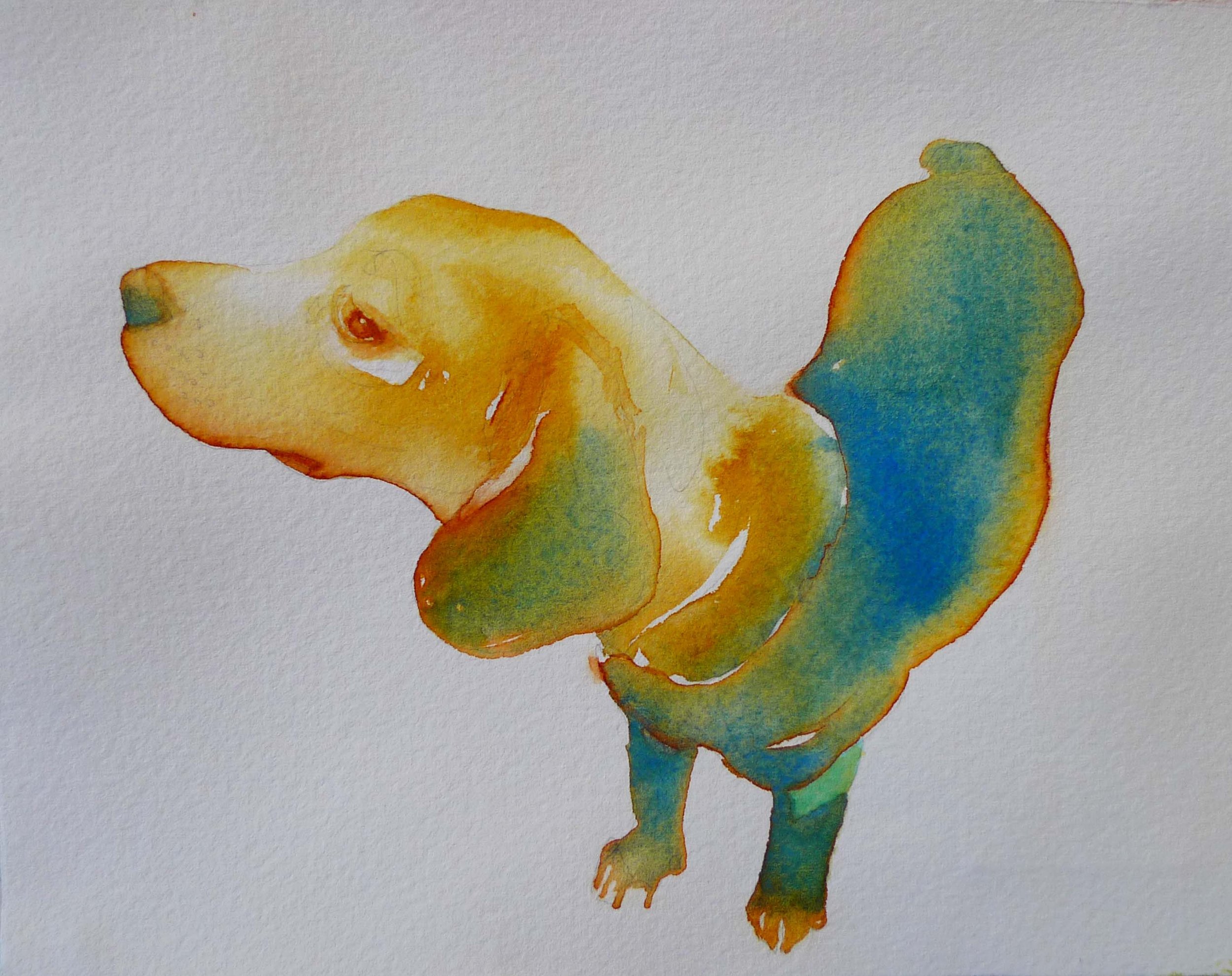 kathy'sbeagle2.jpg