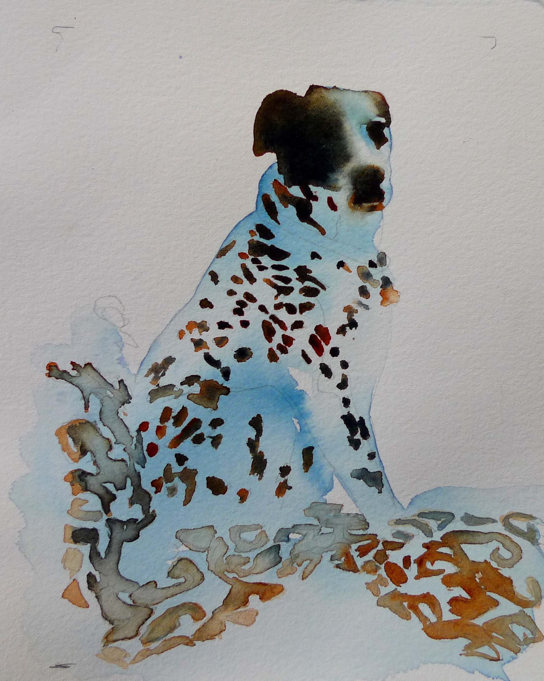 spottedog.jpg