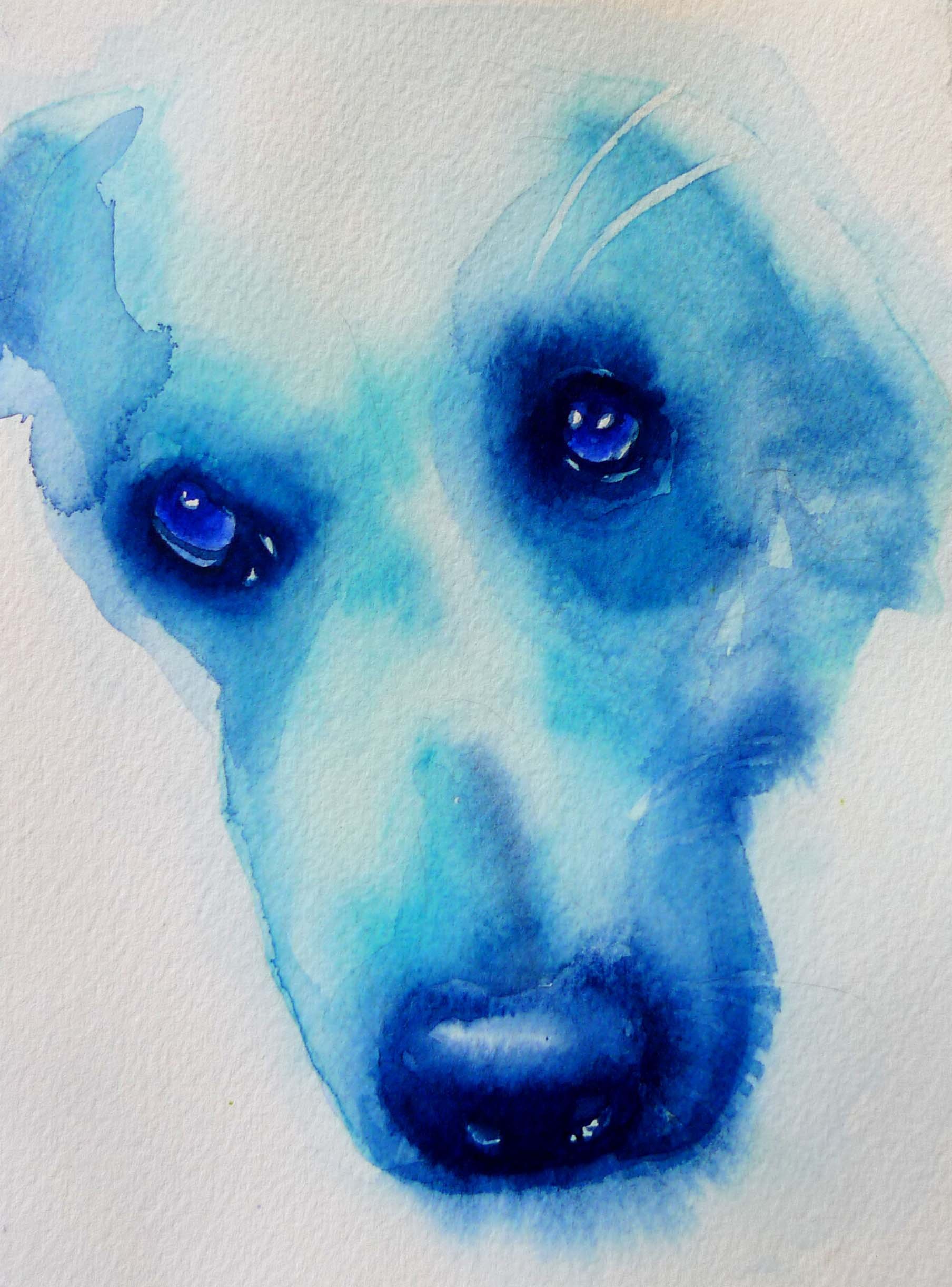 blueboy.jpg
