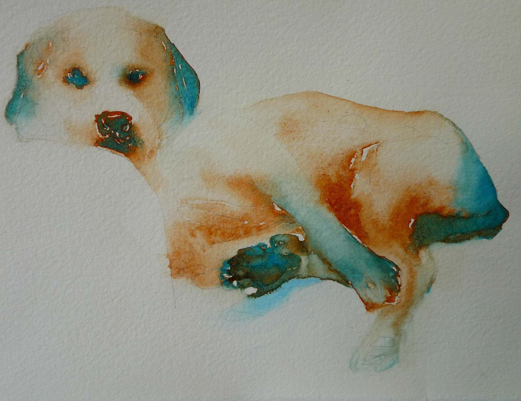 michele's dog.jpg