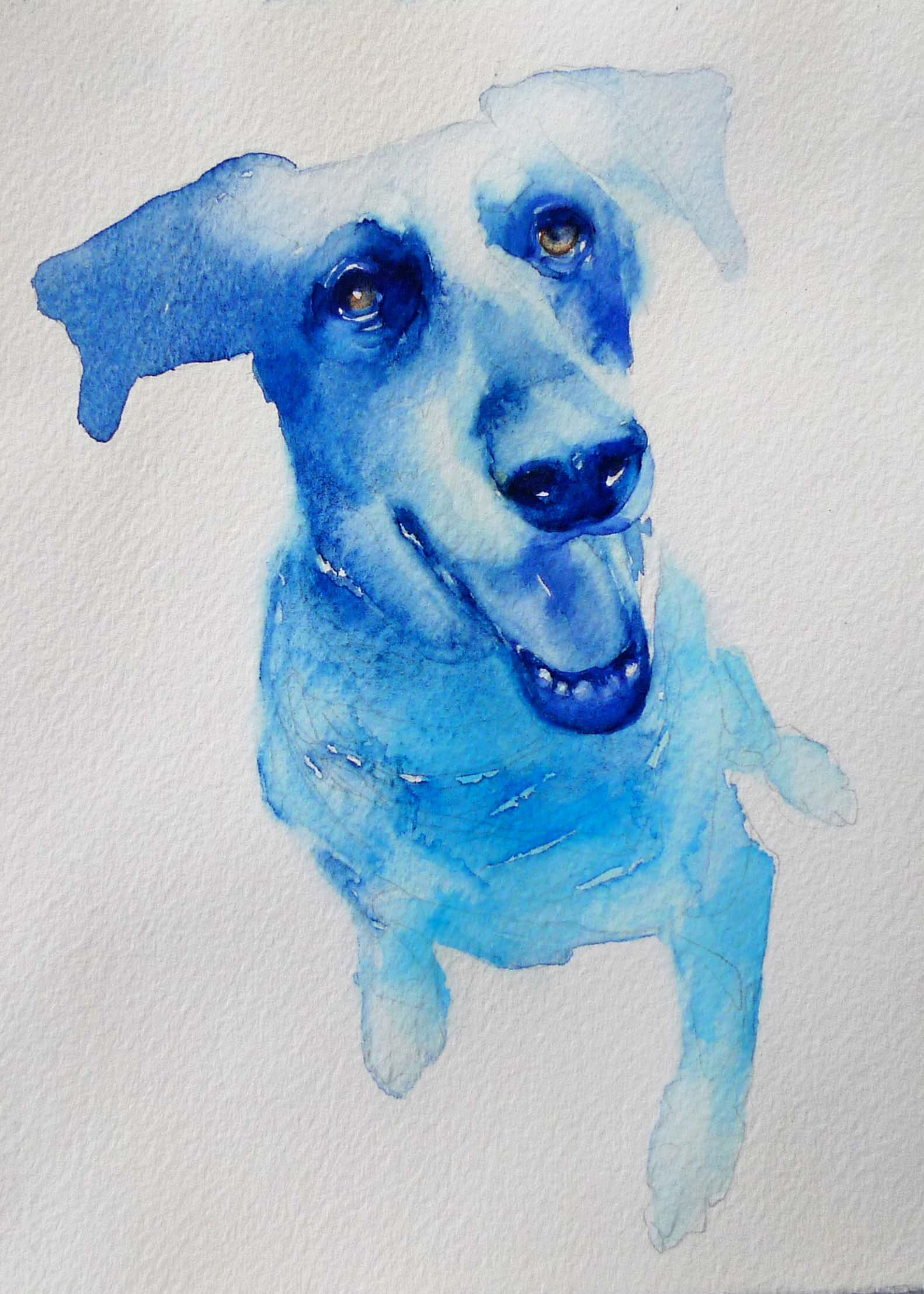 bluepup.jpg