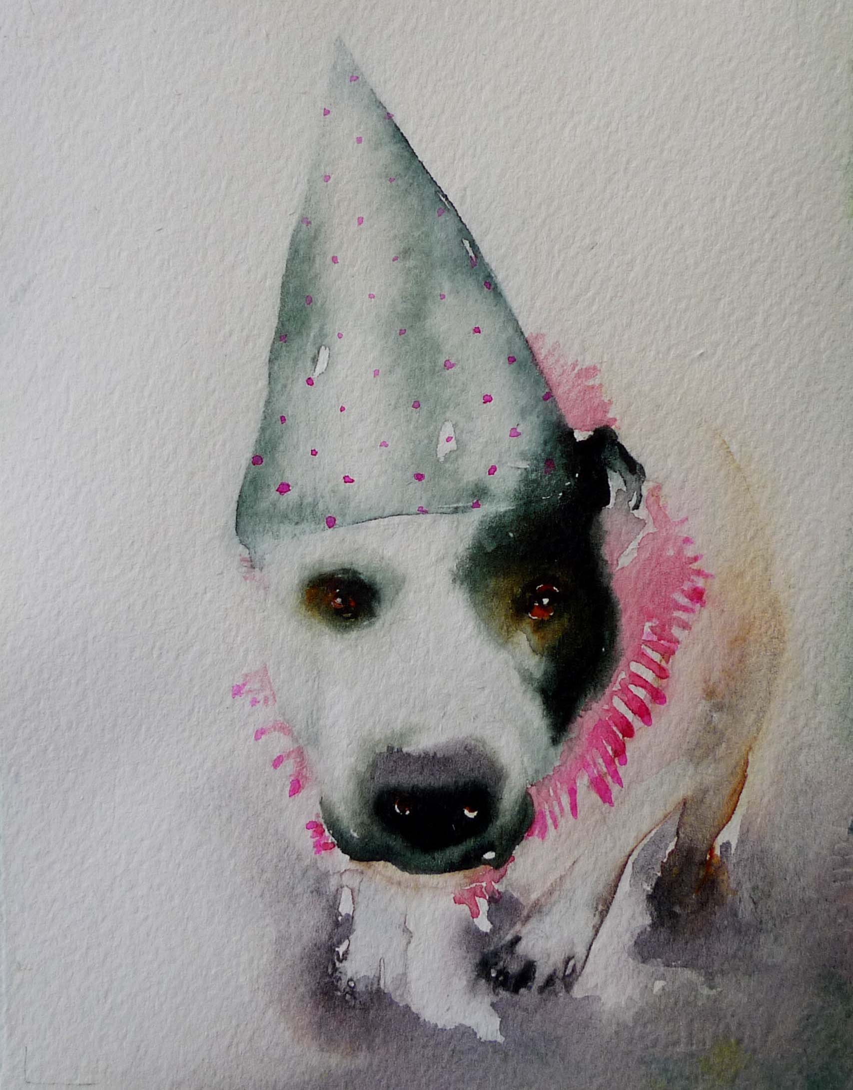 partydog.jpg