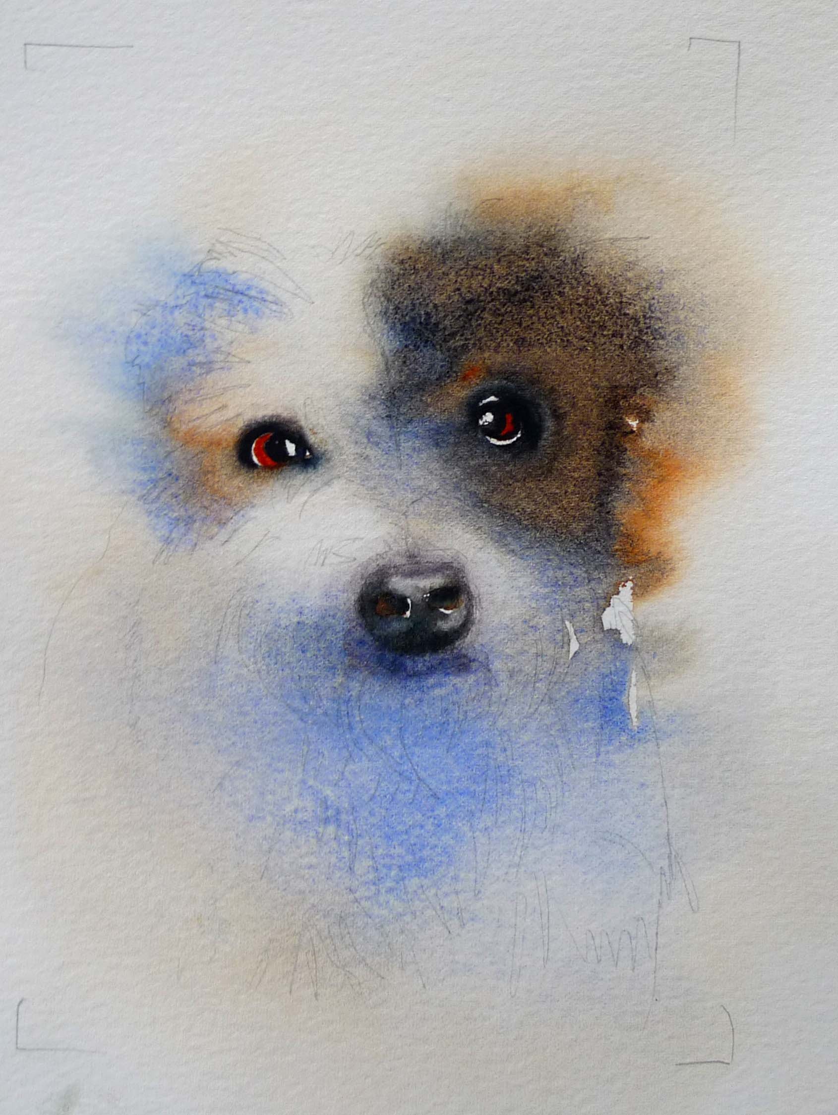 blackandwhitedog.jpg
