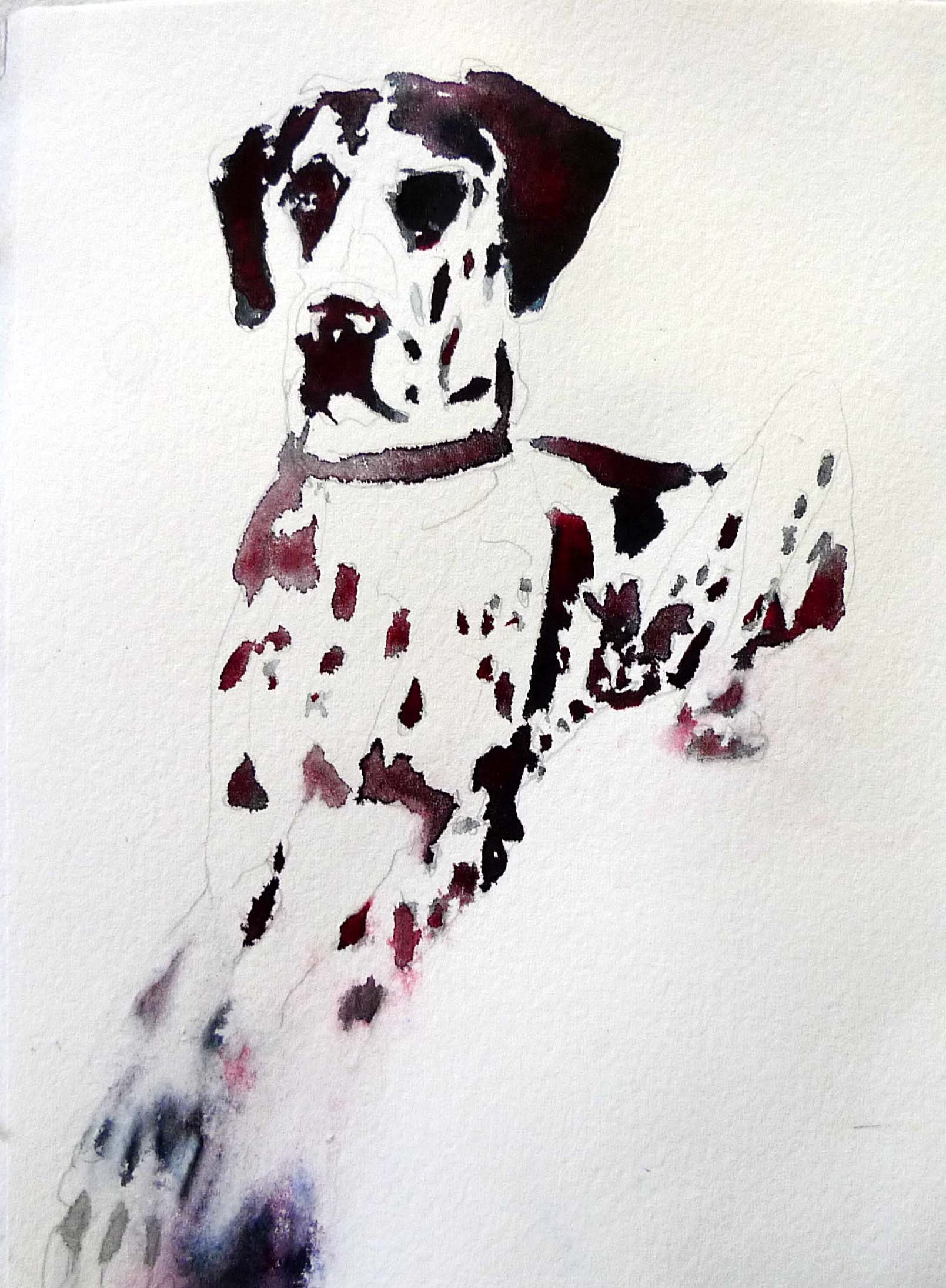 juliet's dog 2.jpg