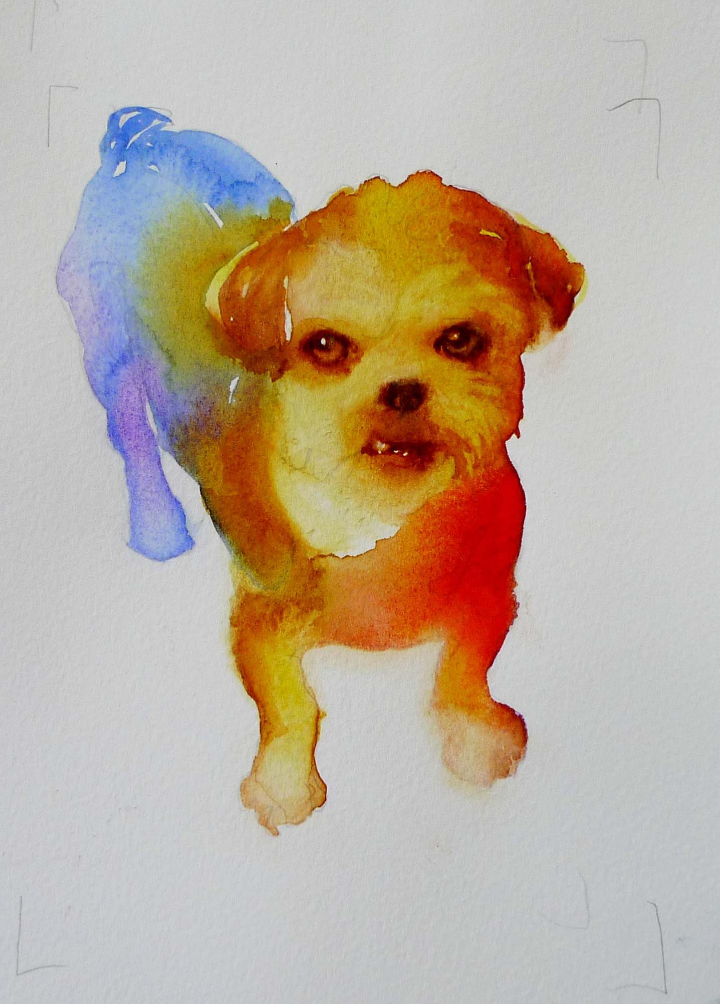 rainbowgrowler.jpg
