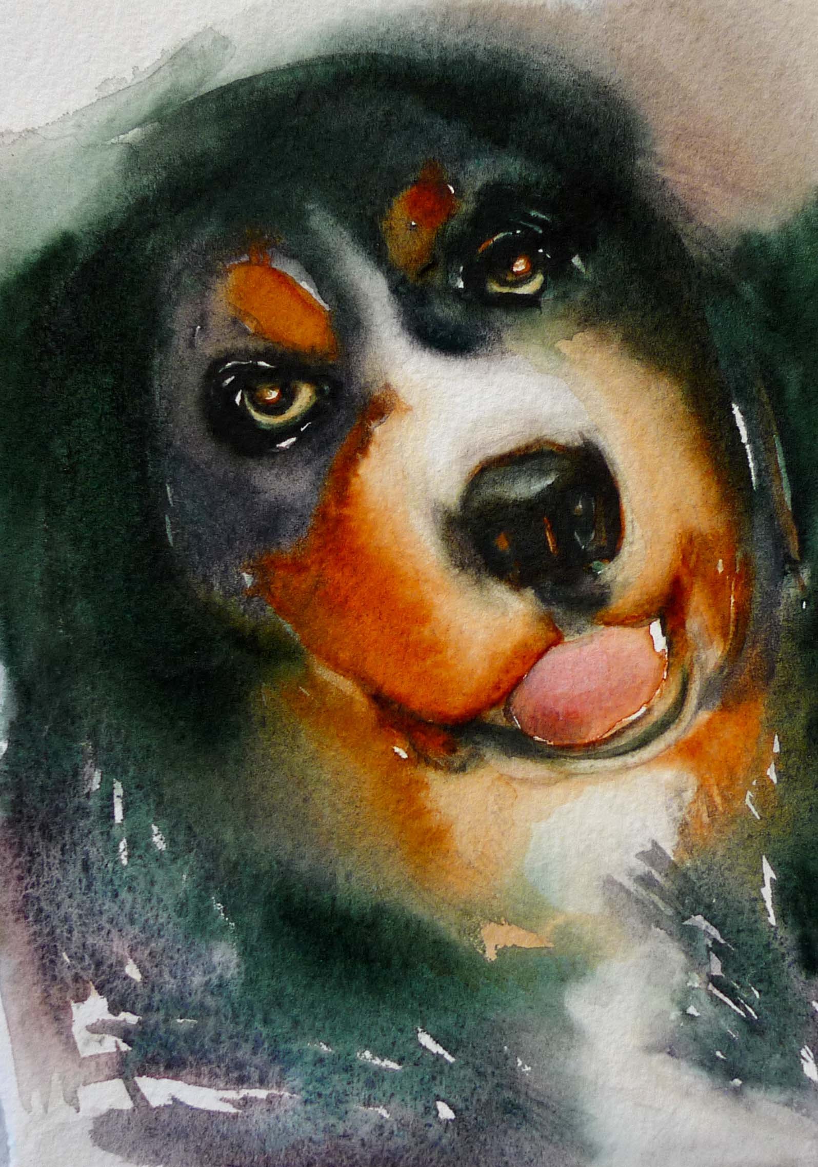 blackbrowndog.jpg