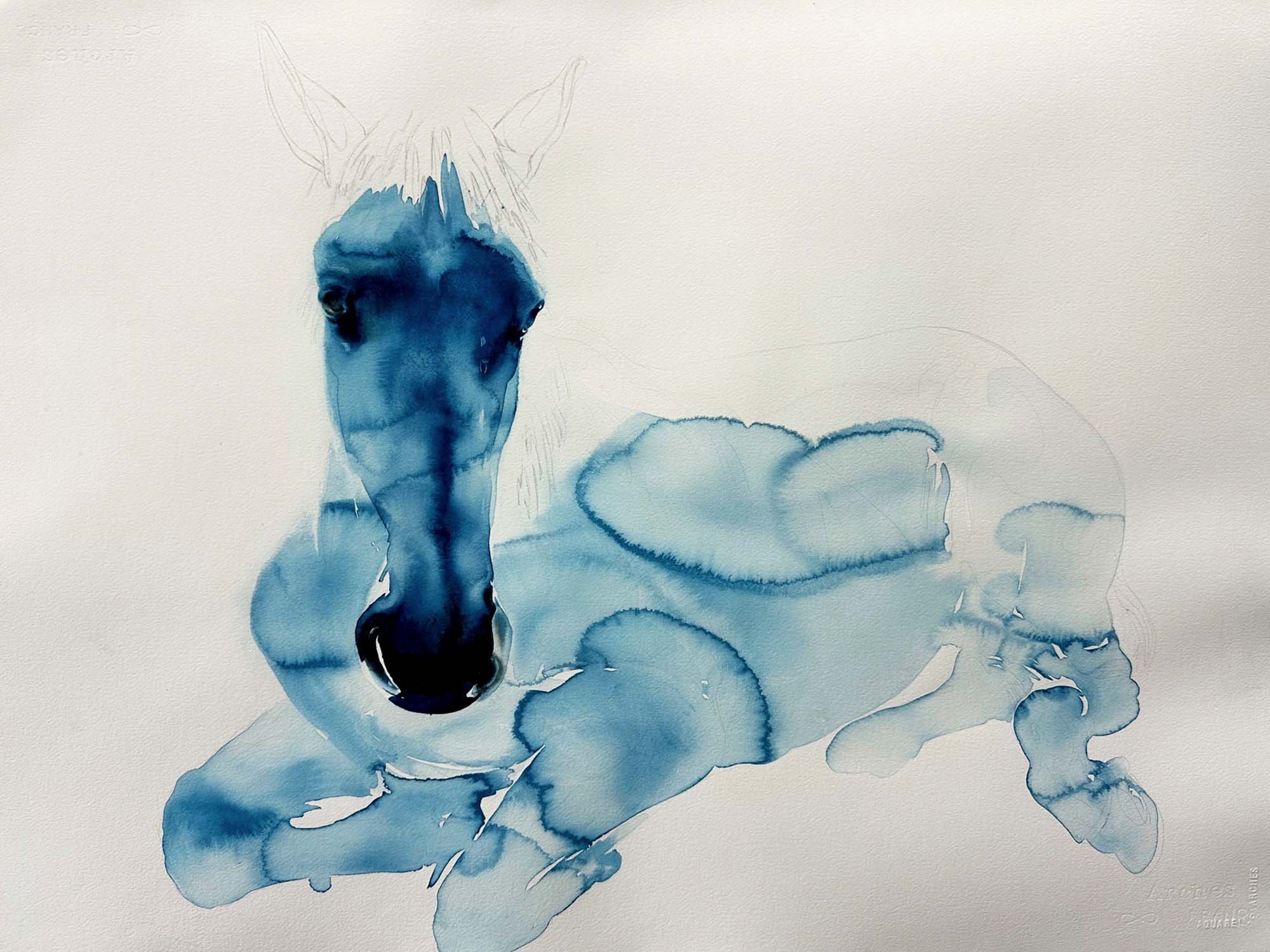 bluehorseresting.jpg