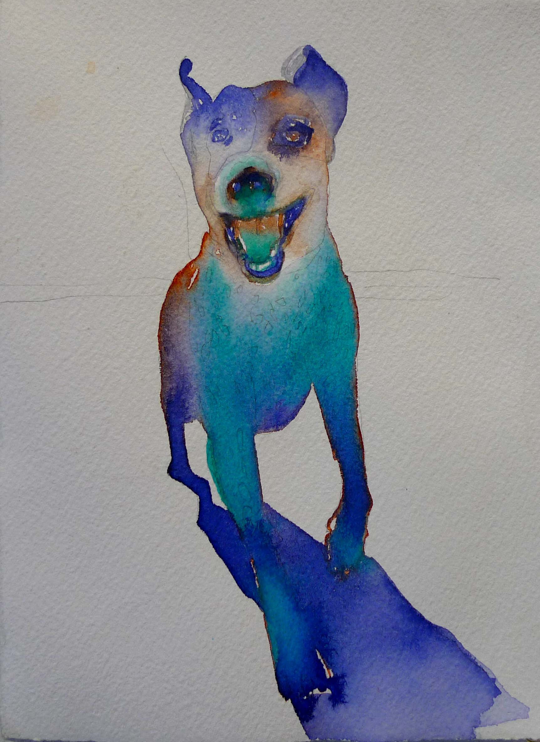 bluedogrunning.jpg