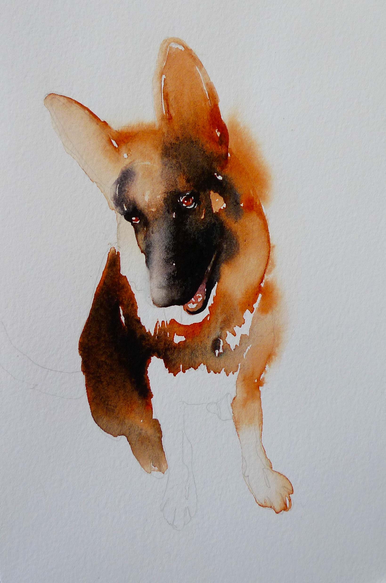 catherine's dog.jpg