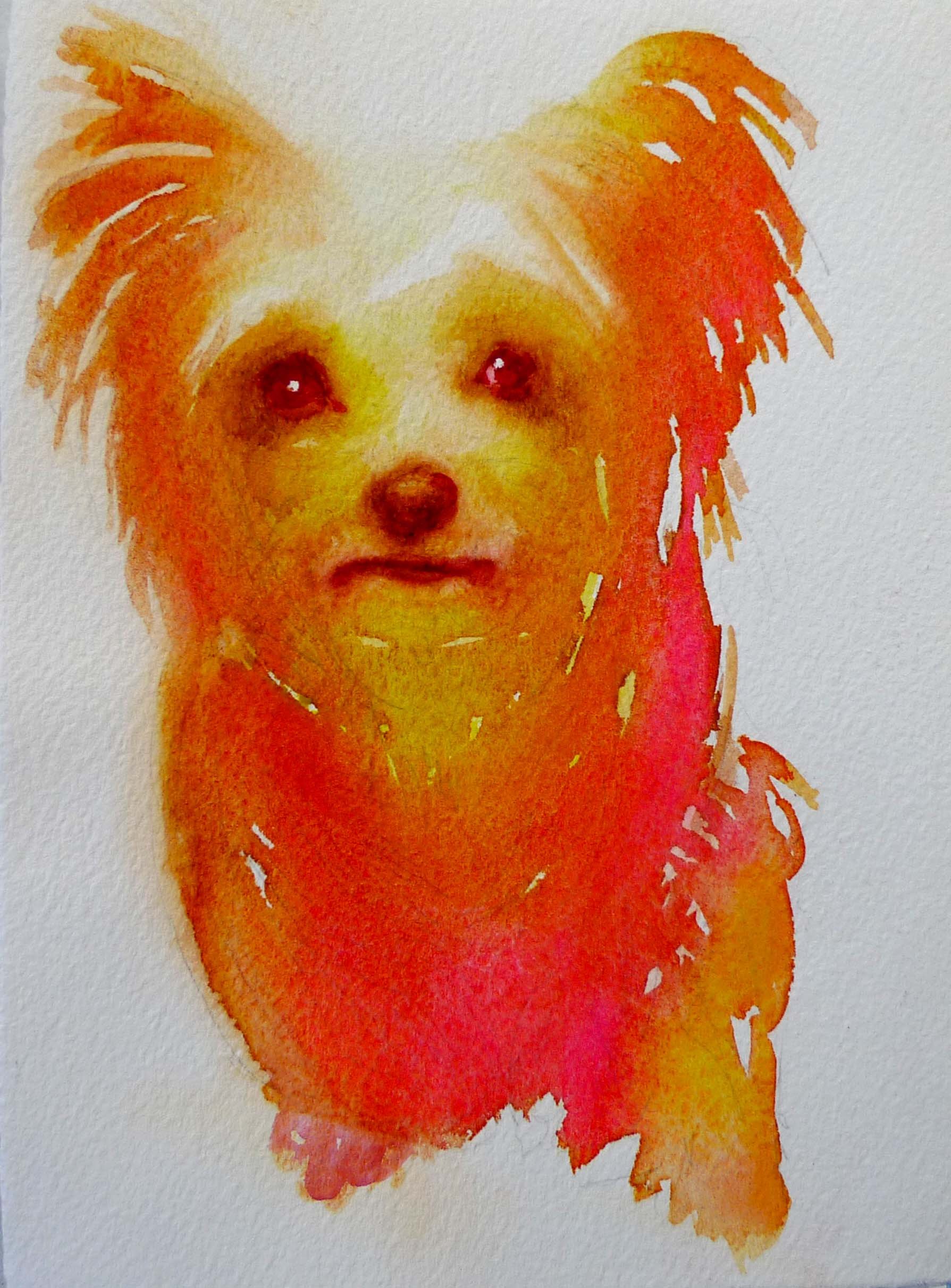 catherine'sdog.jpg