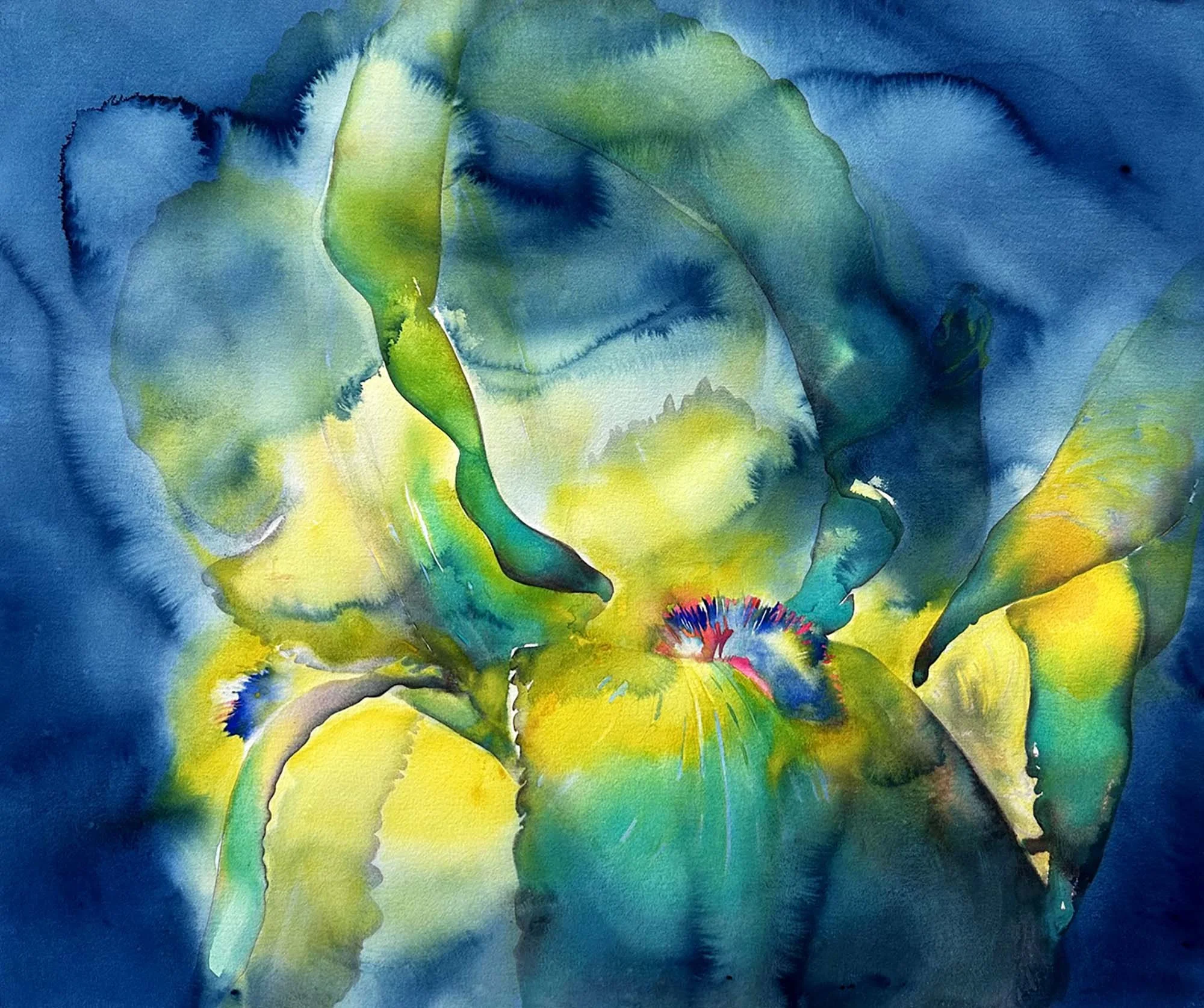 large iris 40 x 40.jpeg